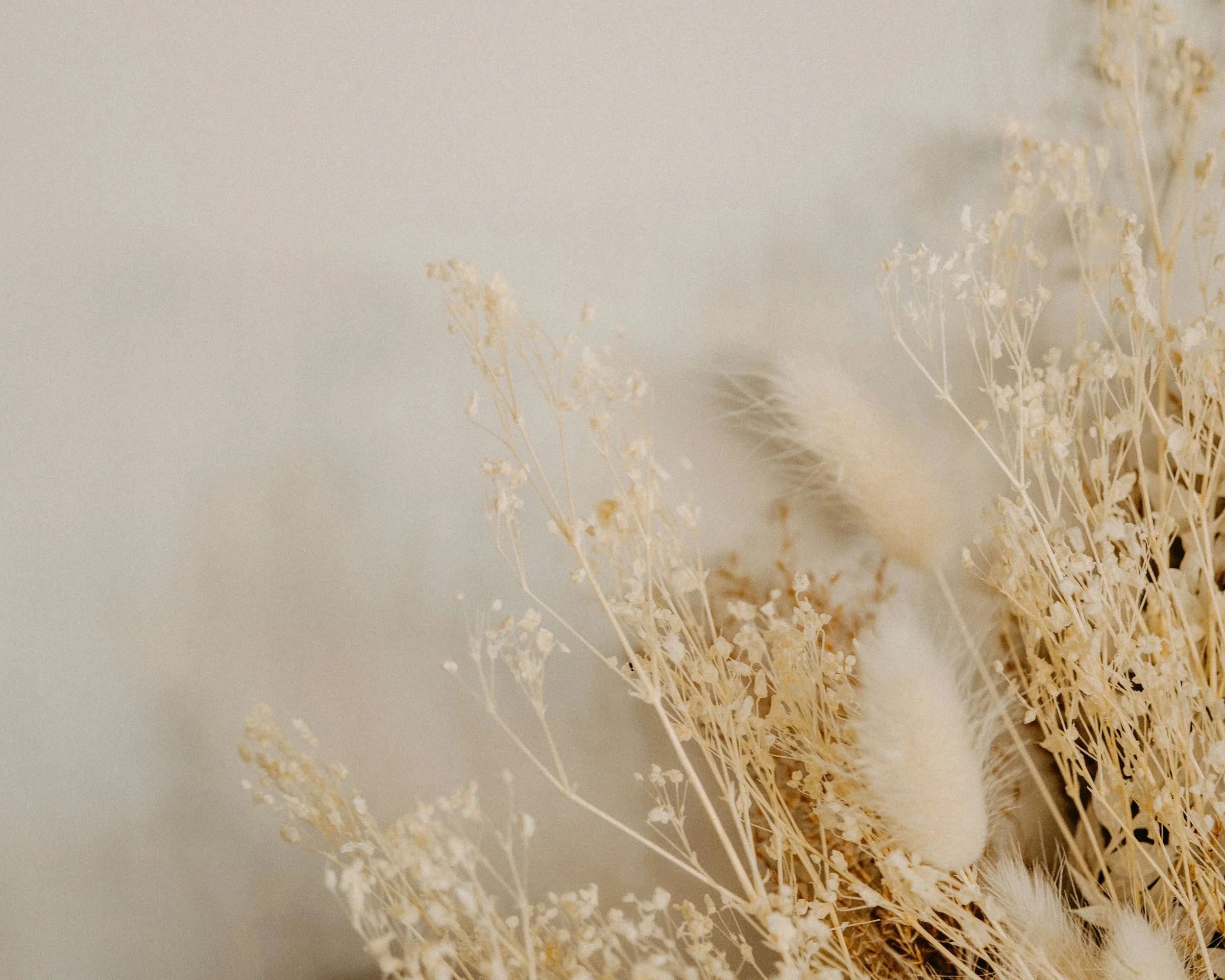 annie-spratt-Uphs8dZftsY-unsplash.jpg