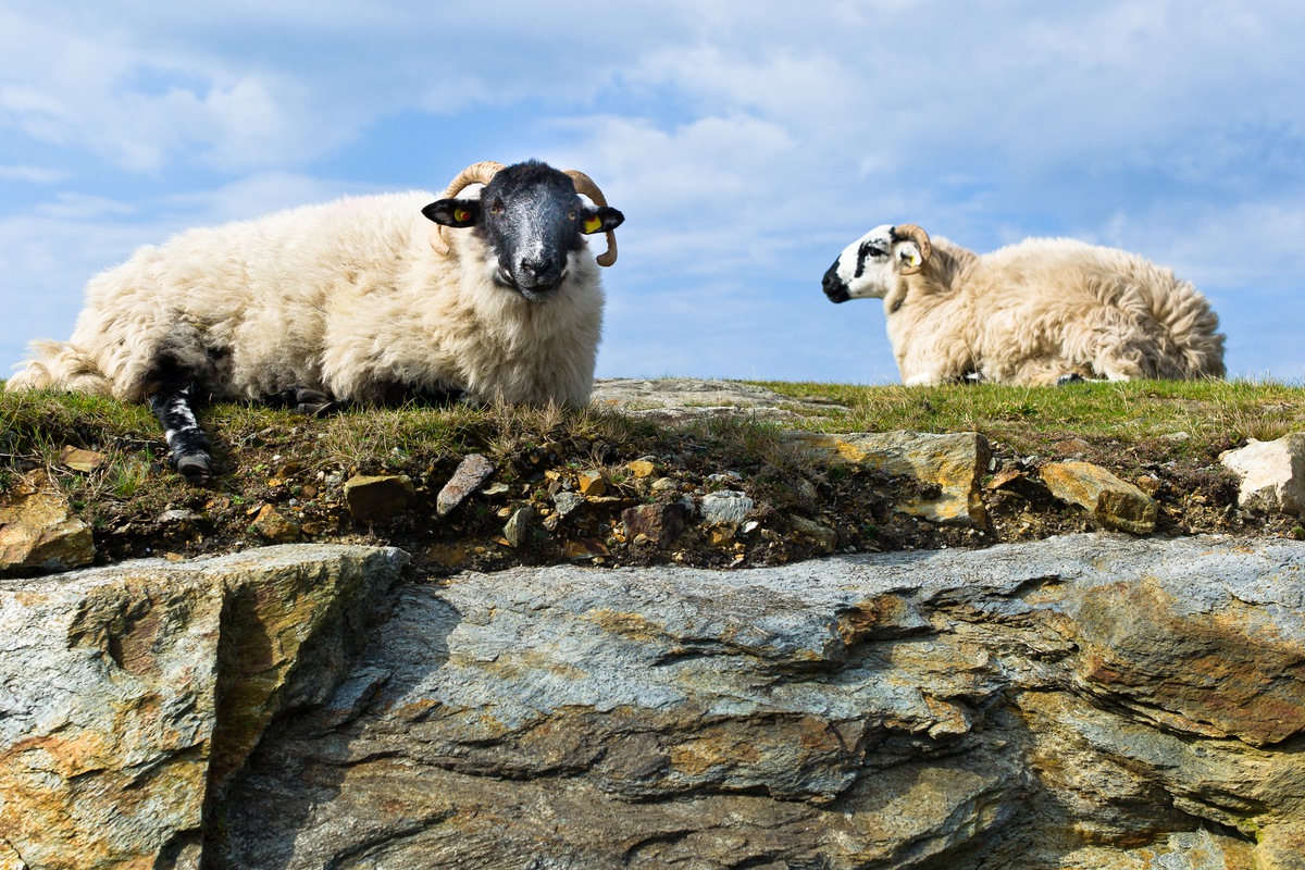 Siegfried-Salzmann-Fotografie-Irland 2013-6.jpg