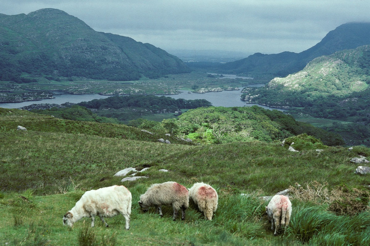 Siegfried-Salzmann-Fotografie-Irland 1992.jpg