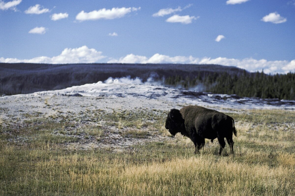 Siegfried-Salzmann-Fotografie-USA Südwest.jpg