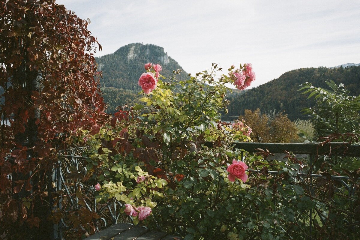 Fotografie-Siegfried-Salzmann-Salzkammergut-2-2.jpg