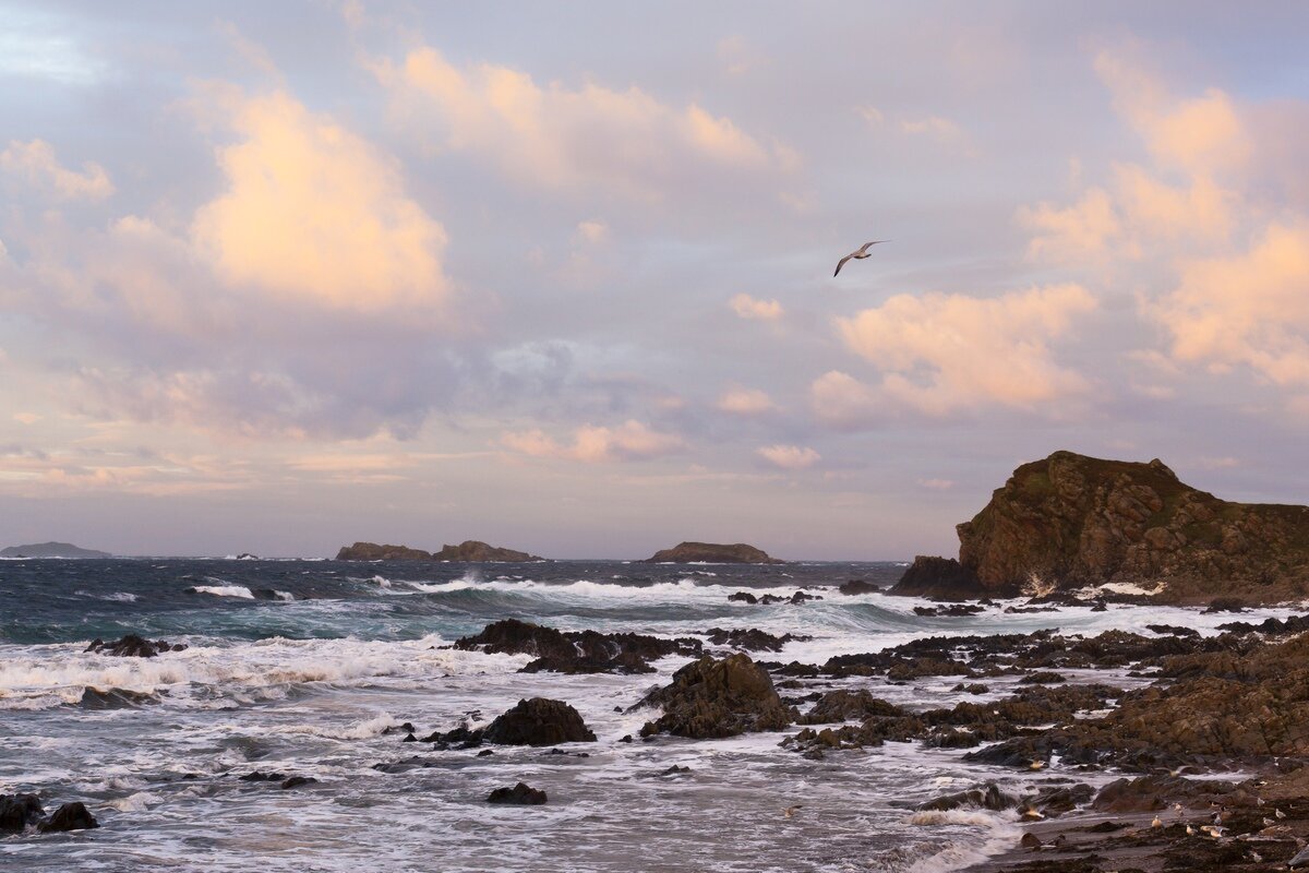 Siegfried-Salzmann-Fotografie-Irland 2010-3.jpg