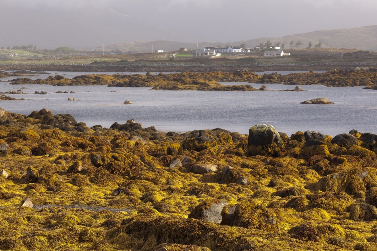 Siegfried-Salzmann-Fotografie-Irland 2010.jpg