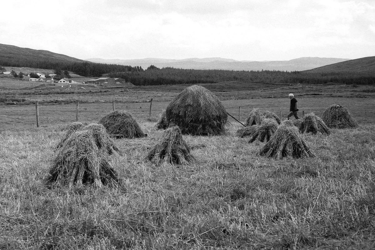 summertime Irland 2018.jpg