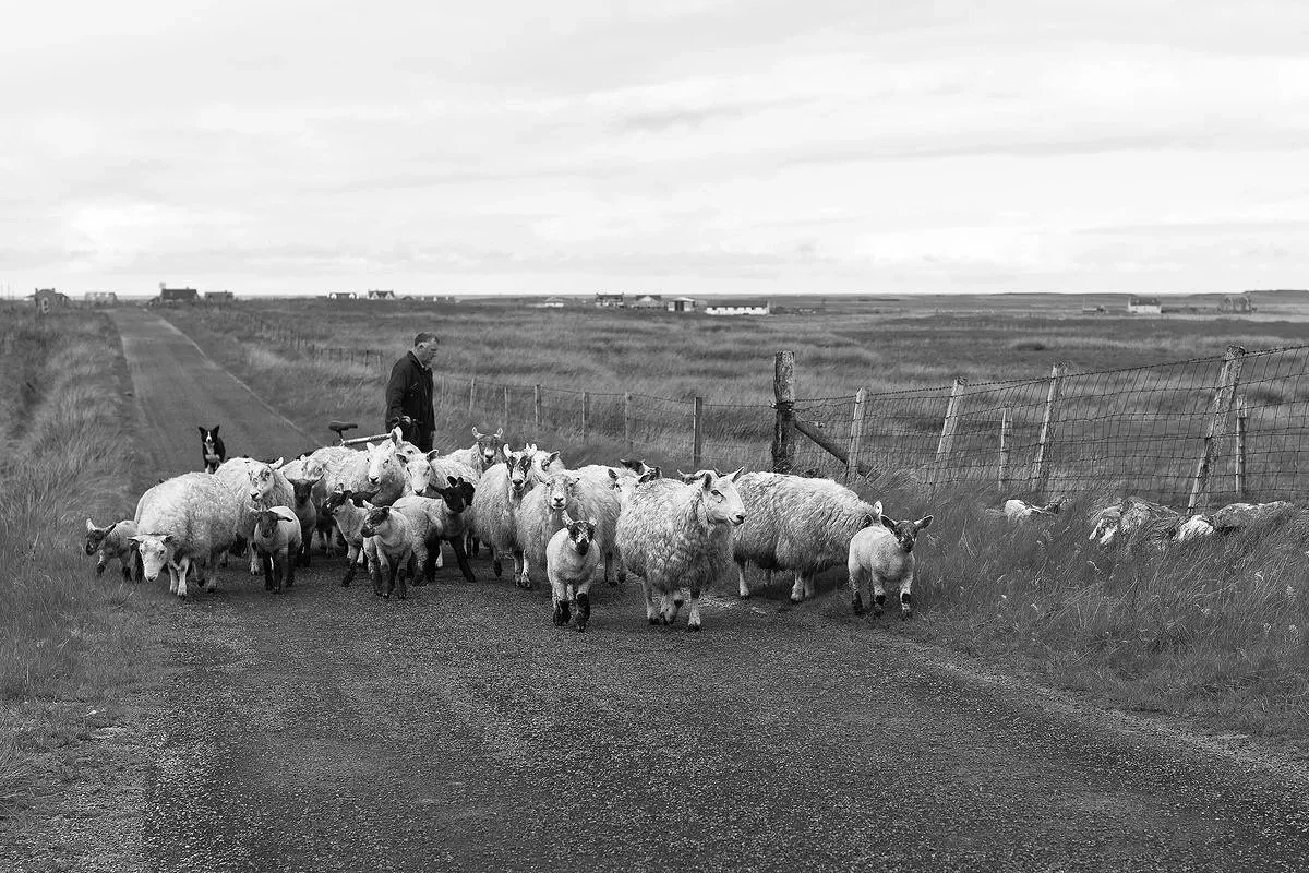 South Uist 2 2014.jpg