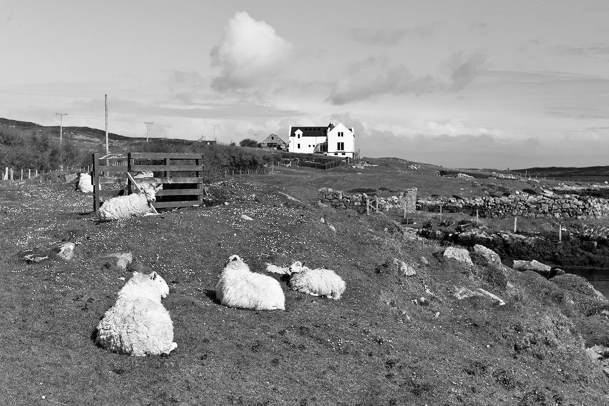 Locheynort South Uist 2015.jpg