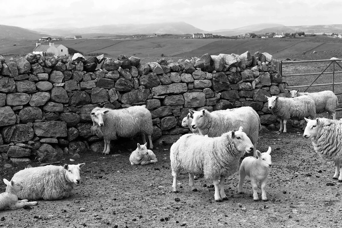 auf Skye 2016.jpg