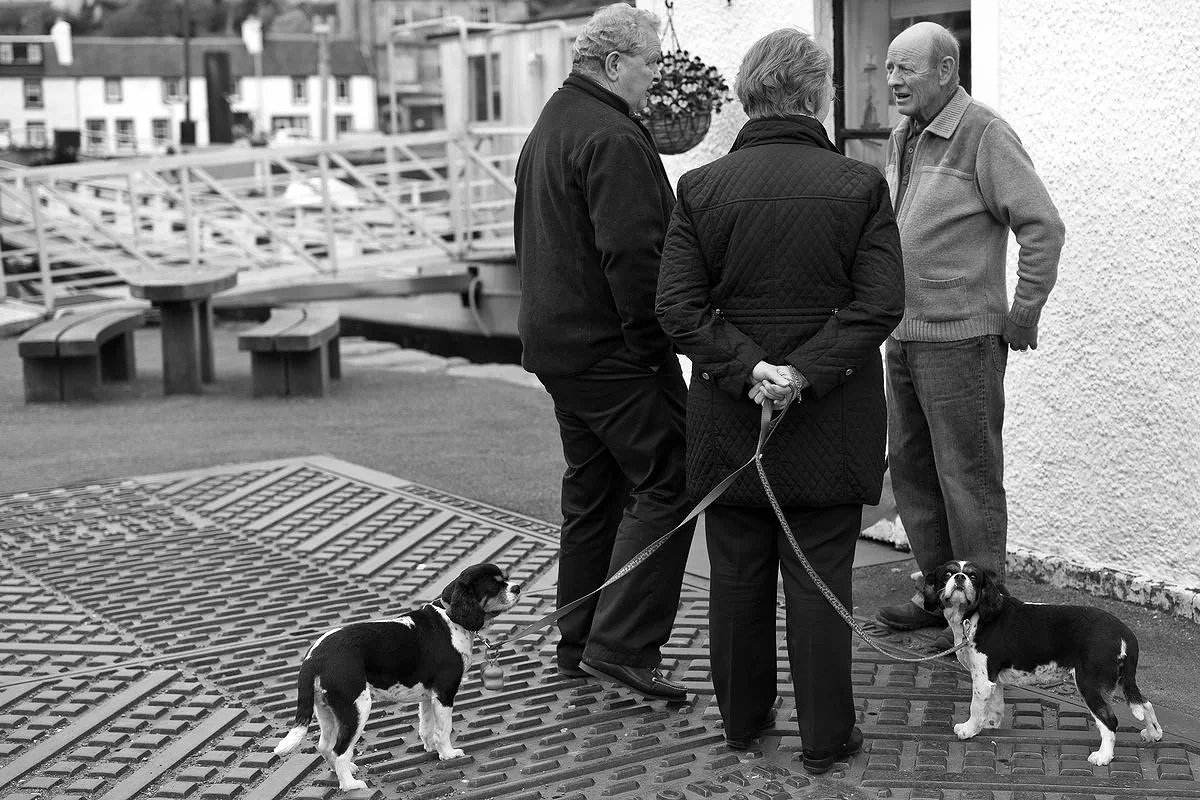 Tarbert candid moment 2016.jpg