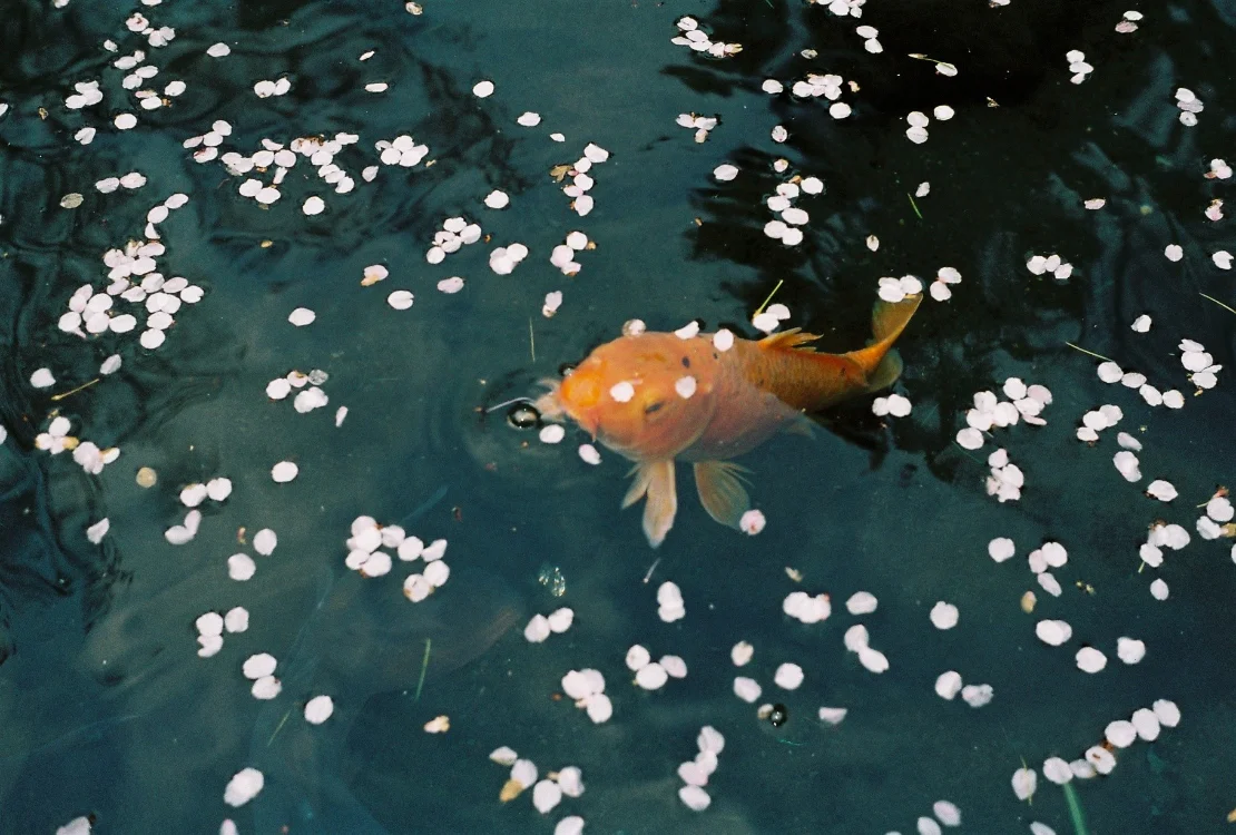 TokyoDiary_CasperKent_21.jpg