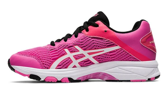 netburner professional