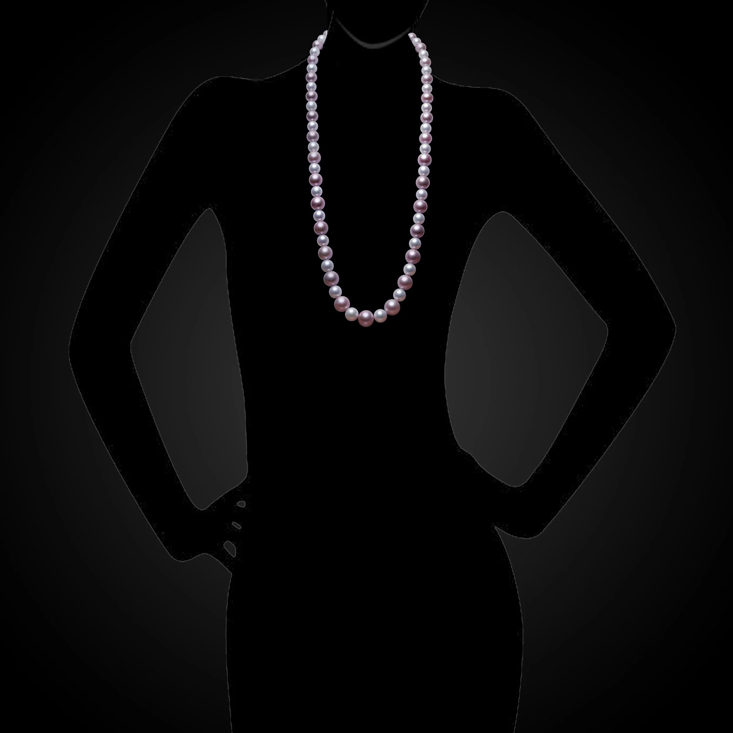 BLACK-BACKGROUND FNS 3018 SIL.jpg