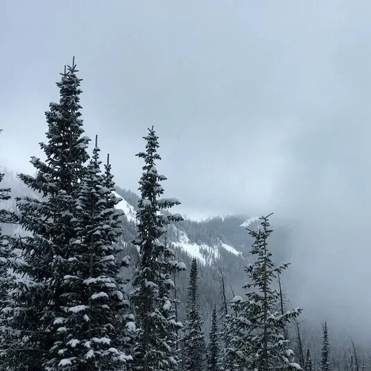 Artist Exhibition: Robin O'Malley