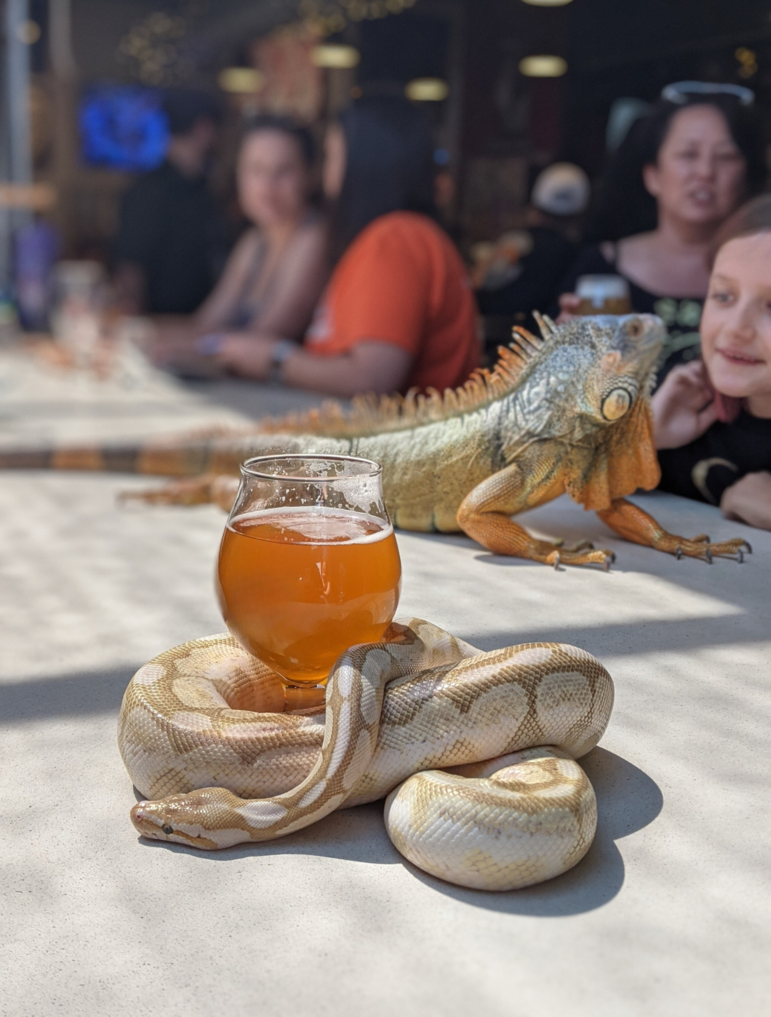 Reptile &amp; Amphibian Center of the Rockies Taproom Visit!