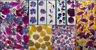 Pressed Flower Bookmark!