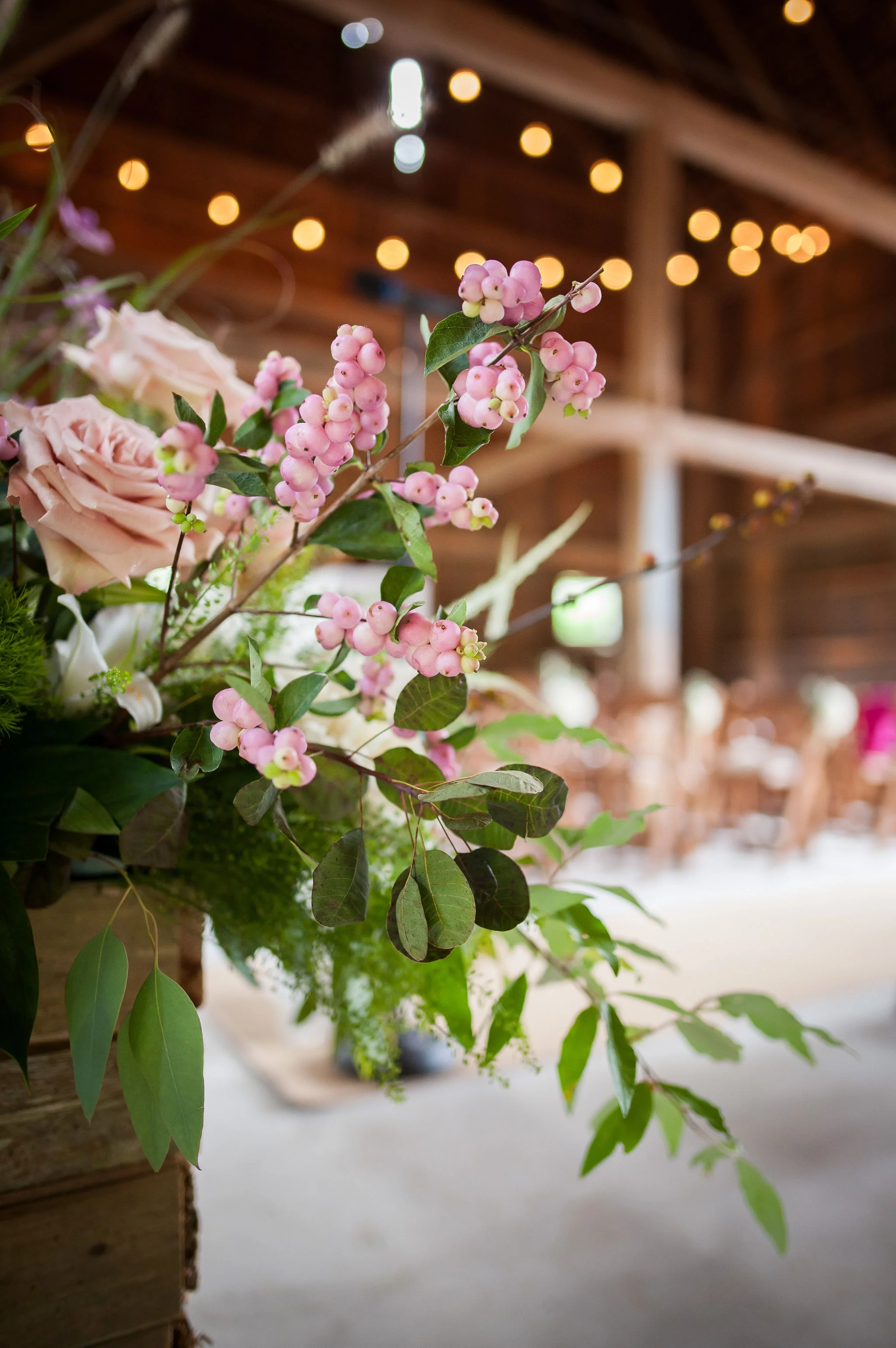  Caroline Rocchetta photography 