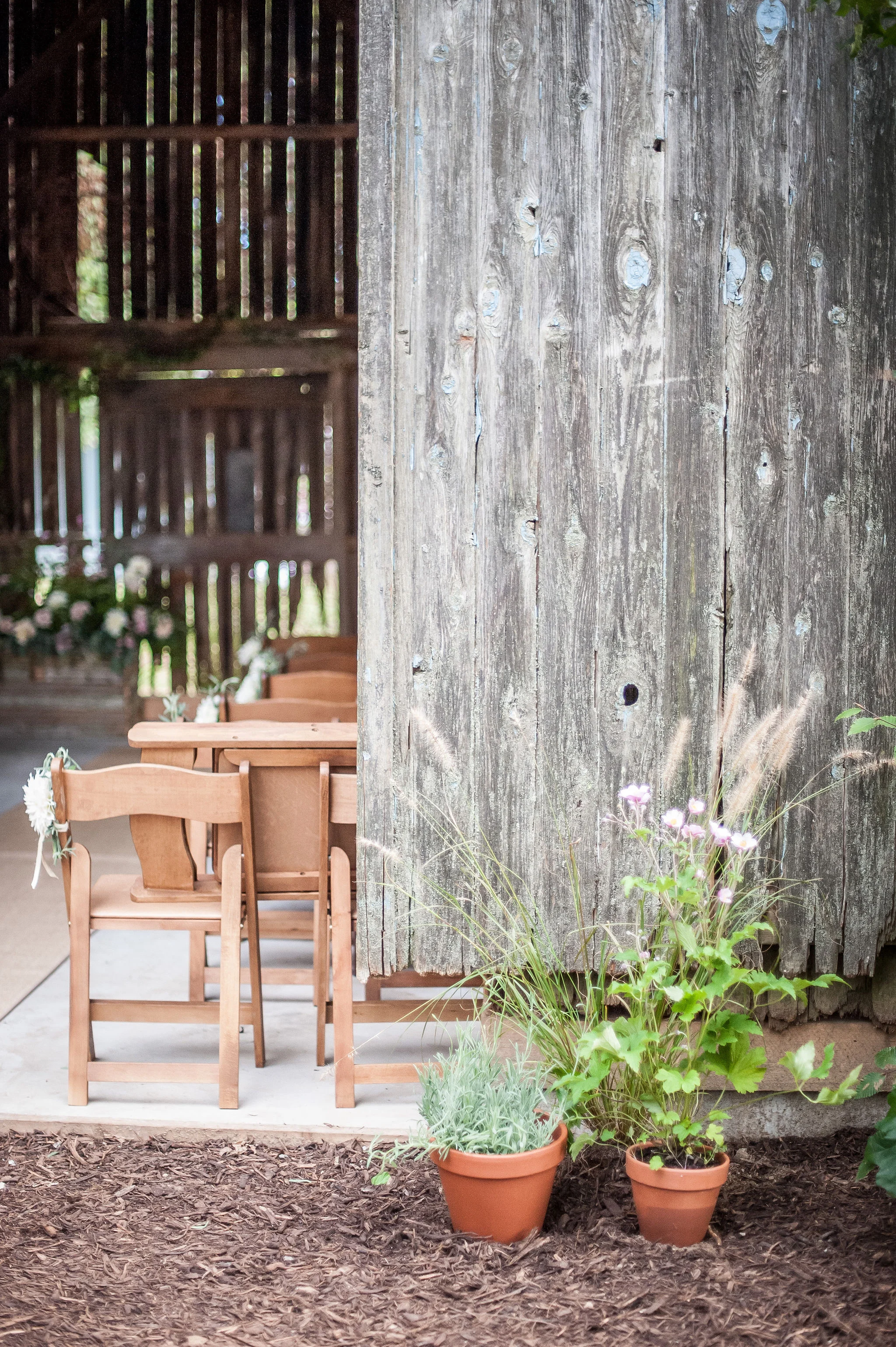  Caroline Rocchetta photography 