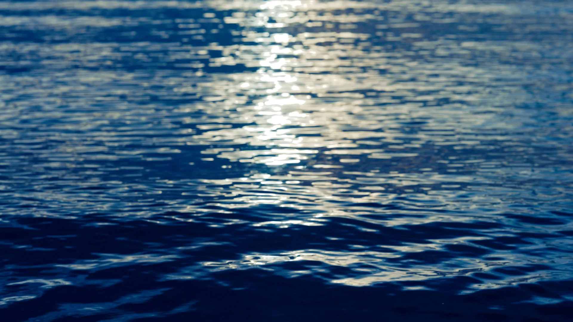 MeyerBlue_Main (0-01-19-05).JPG