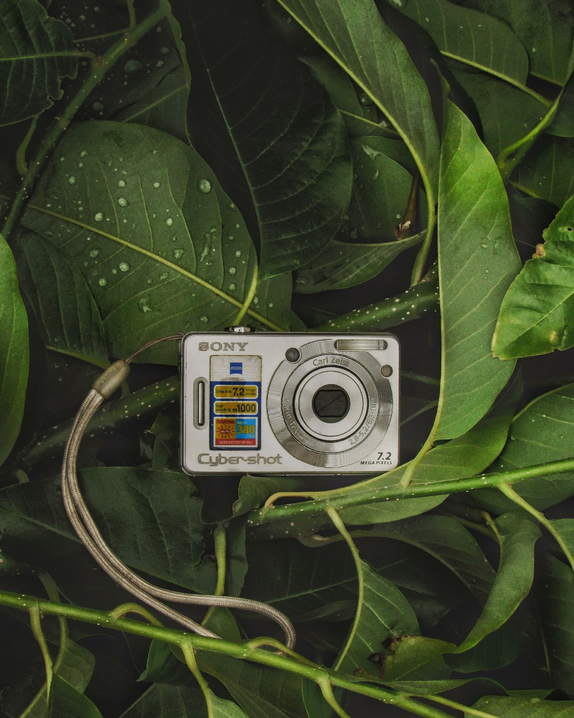 The Basics of Photography: A Beginner's Guide