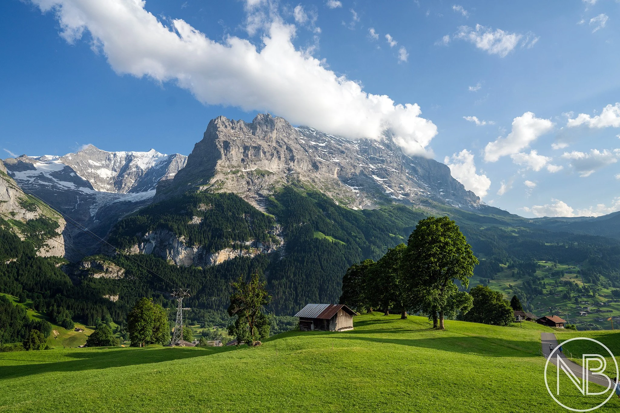 swiss-alps-meadow-grindelwald.jpg