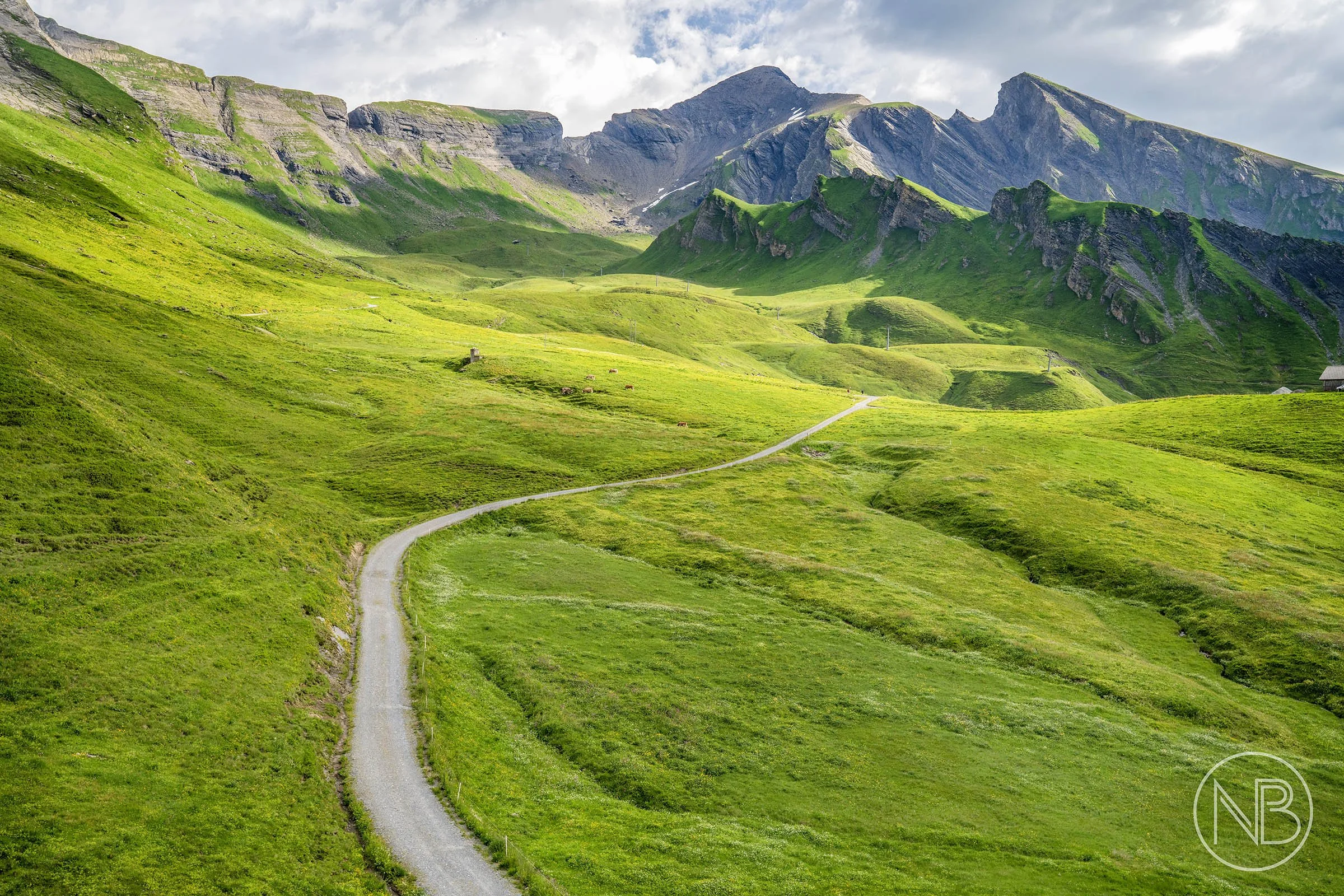 Alps of Grindelwald, Switzerland