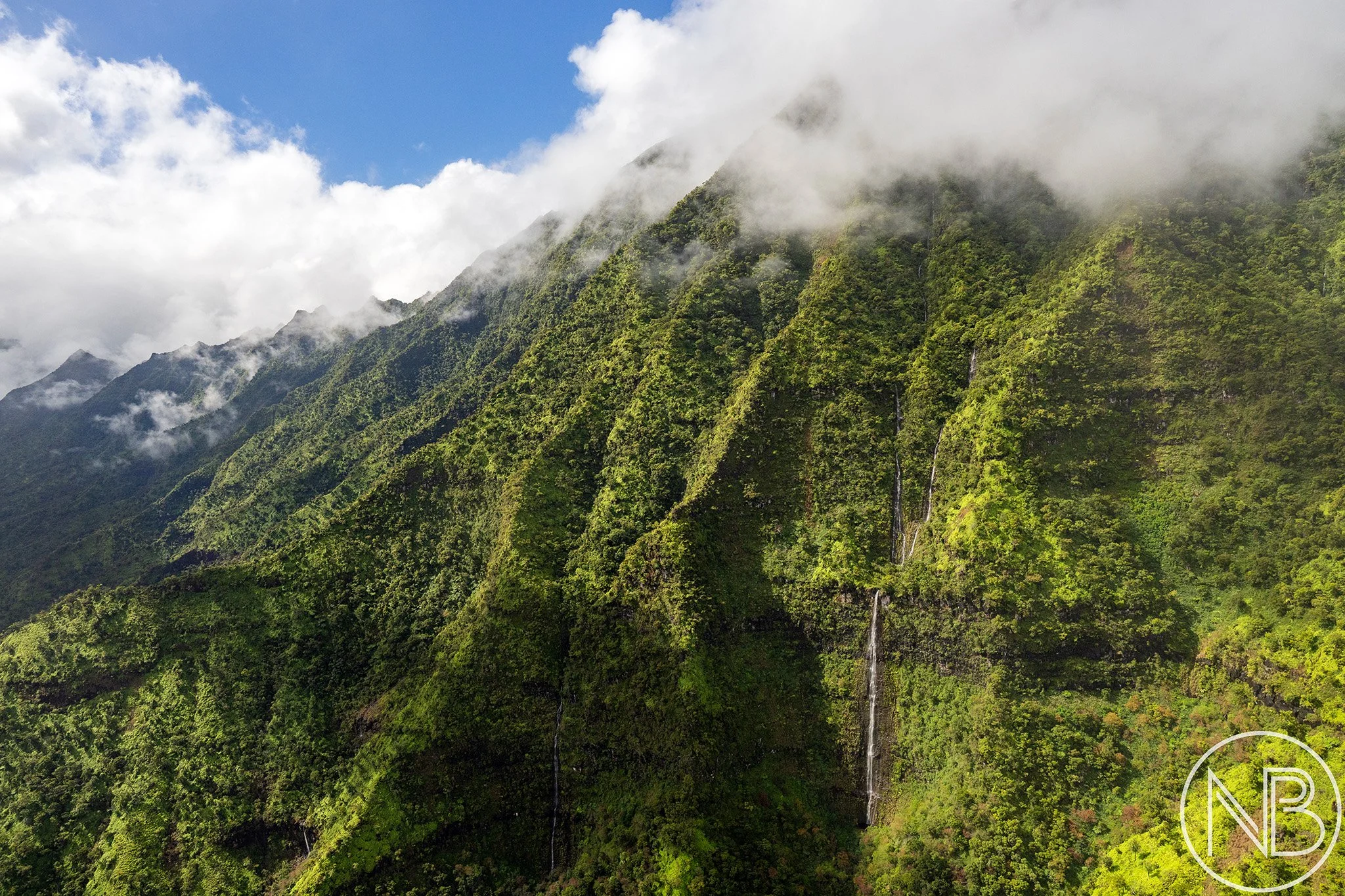 kauai-jungle-waterfalls.jpg