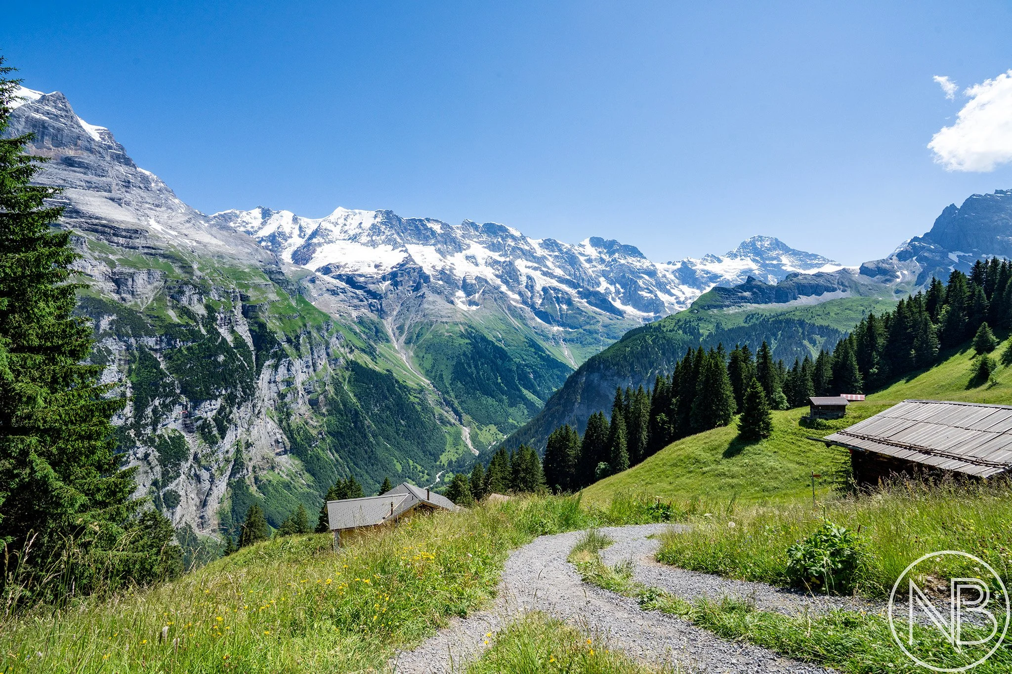 alpine-trail-bernese-alps.jpg