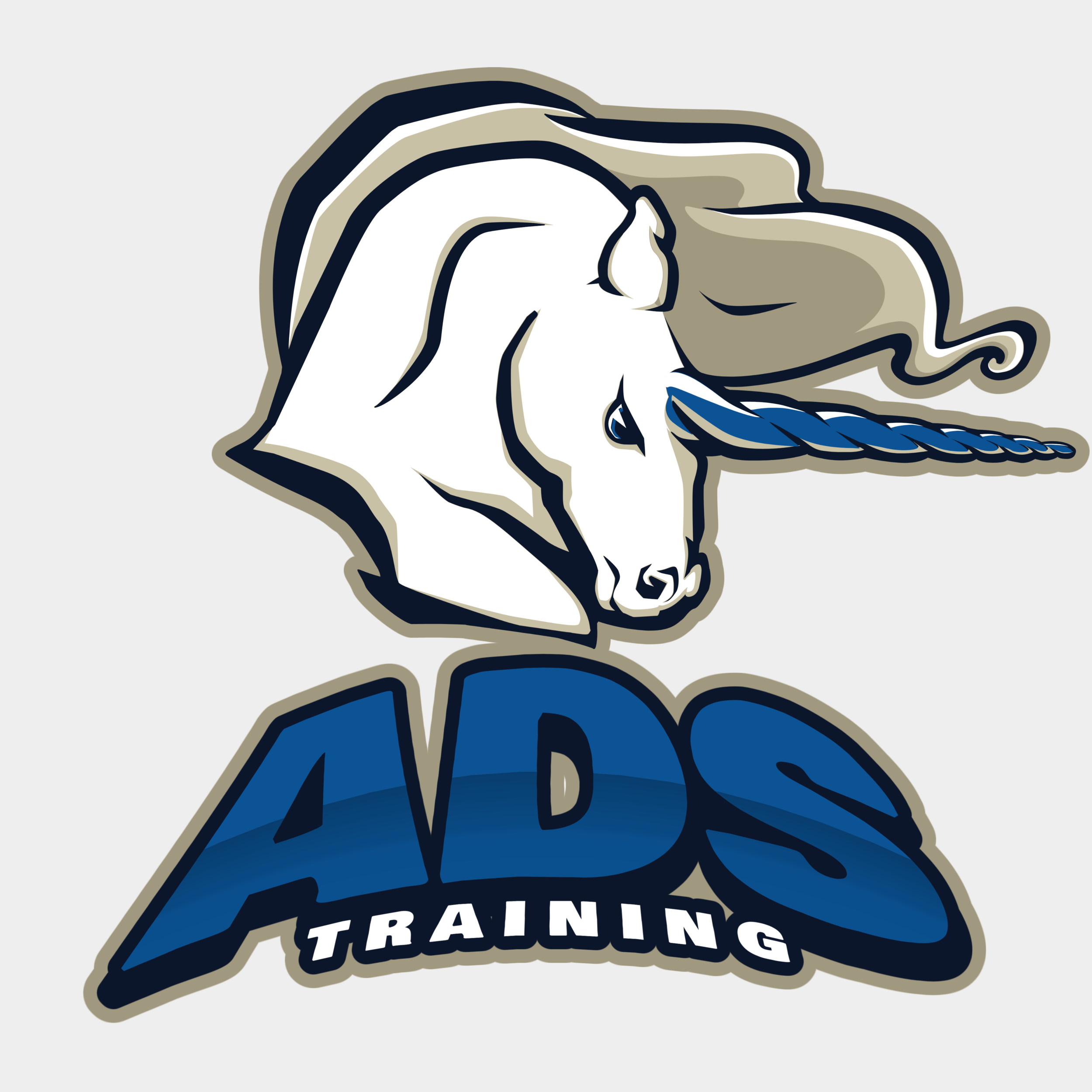 Advertising Training all of the online advertising TECHNIQUES i use can be IMPLEMENTED by your company in house with a little training from myself. I’m available on a 1 on 1 basis or a group setting. If you’re hands on this is a great option for you!
