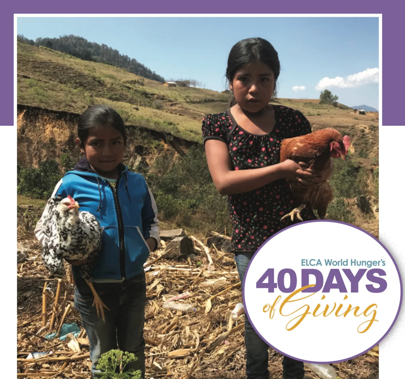 Lenten Stories: Hatching a reliable protein source