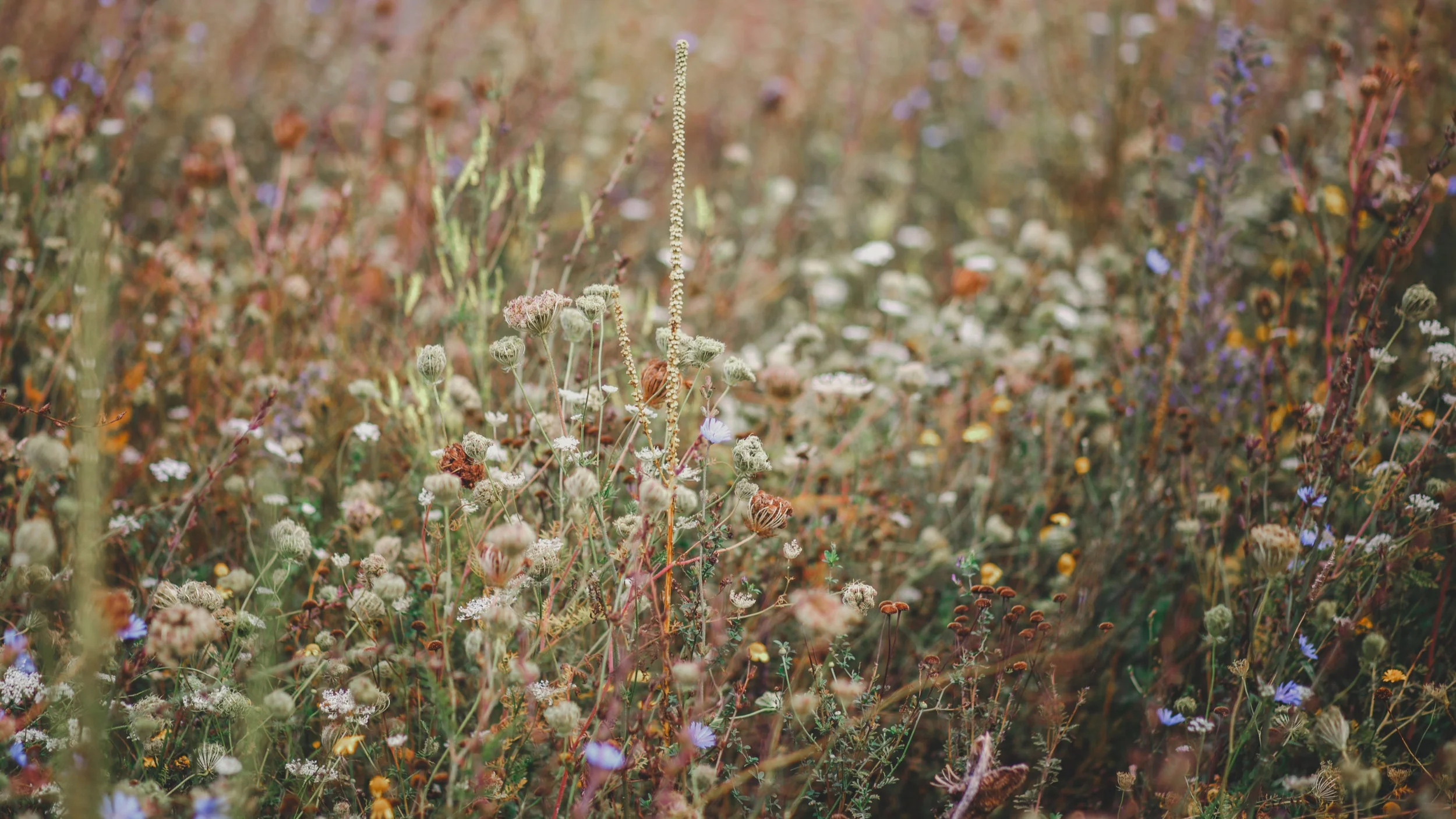 ELCA Church Council approves measures addressing sexism, embracing authentic diversity