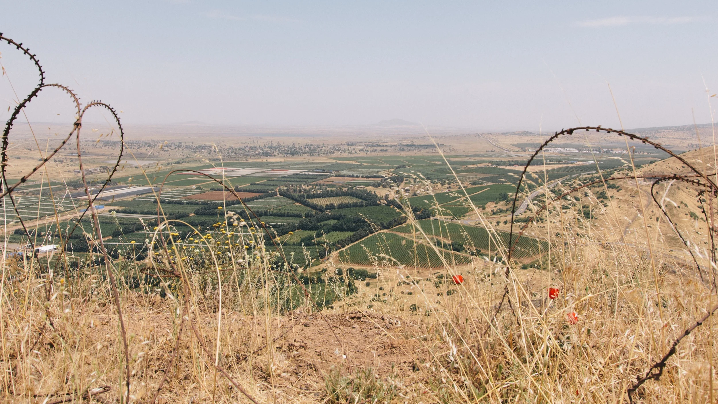 ELCA Peace Not Walls blog updates
