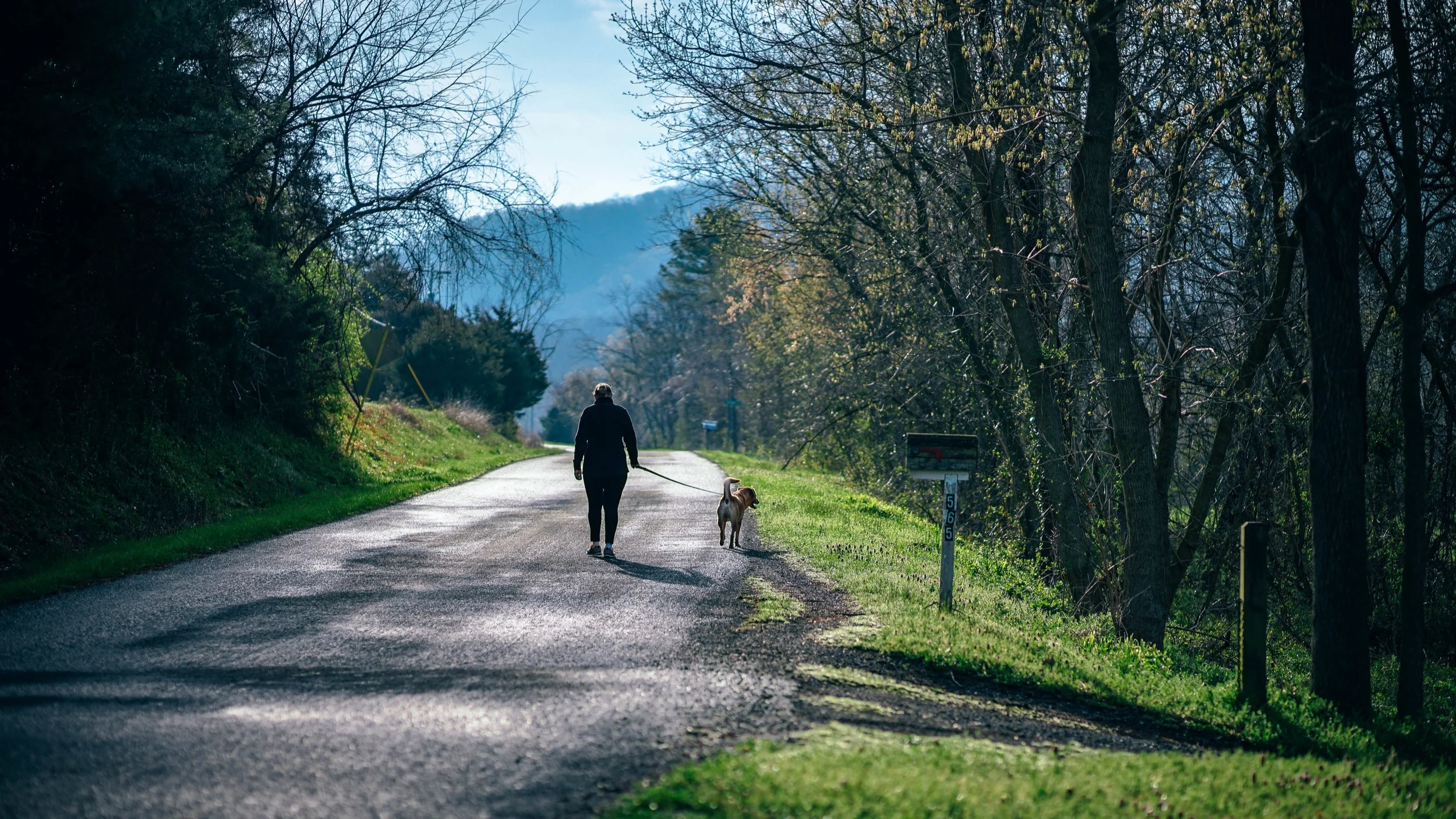 May Webinar: Life-long Health & Wellness