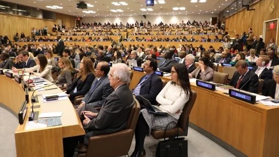 ELCA Advocacy Update: UN and State edition