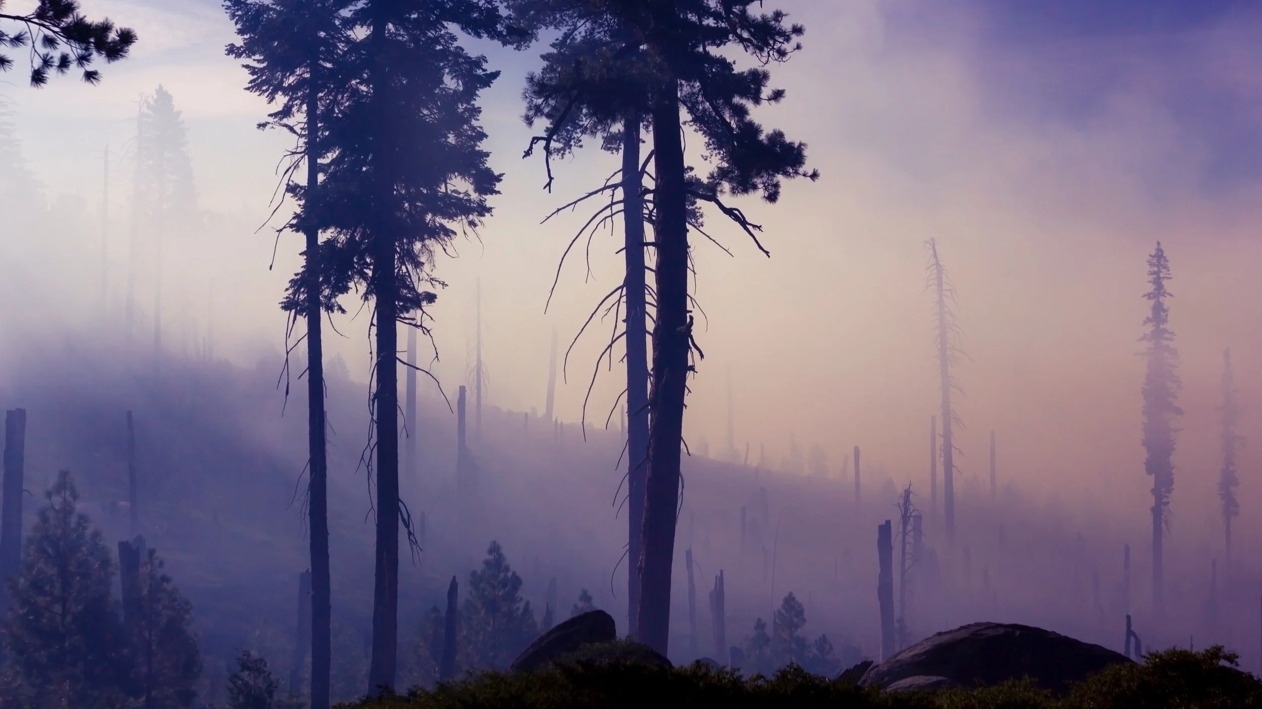 Six Months Later: 2018 California Wildfires