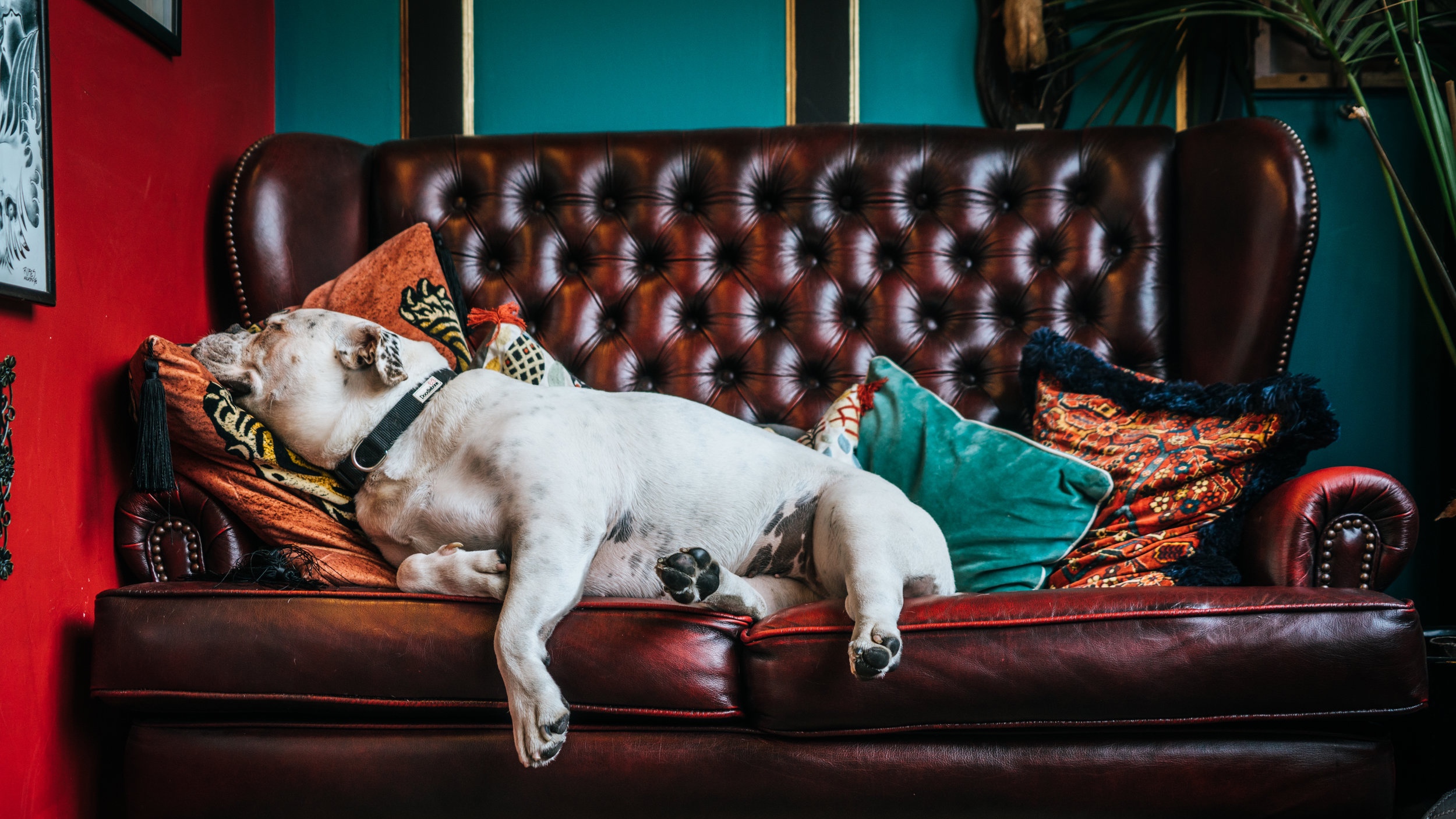 Office closed June 17: Assembly Recuperation