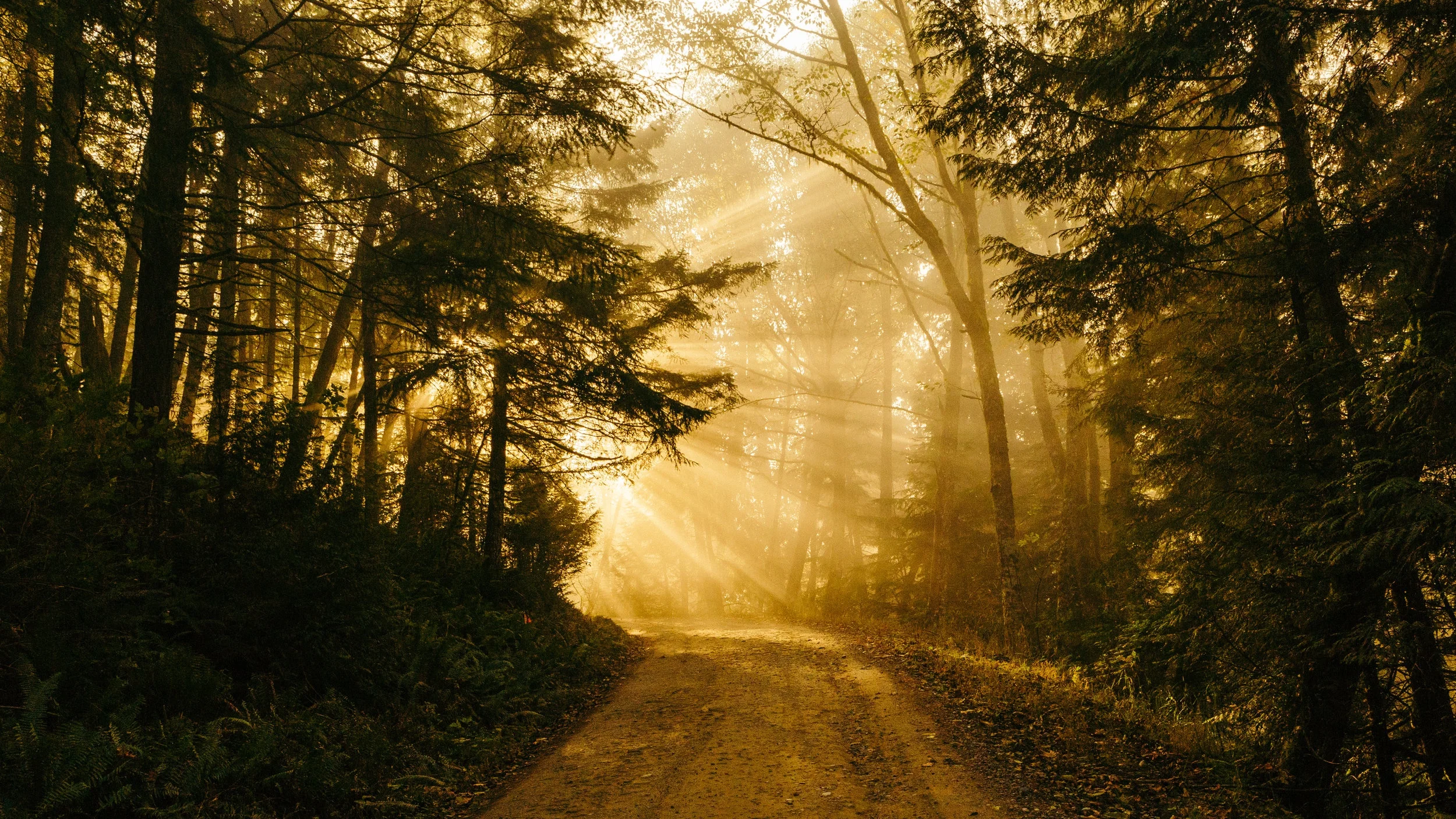 Finding a bright path through chaos