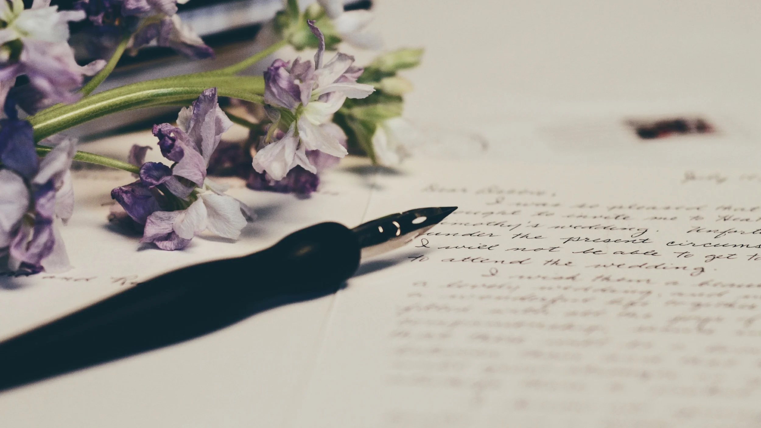 It Was a Good Day: A letter from a volunteer