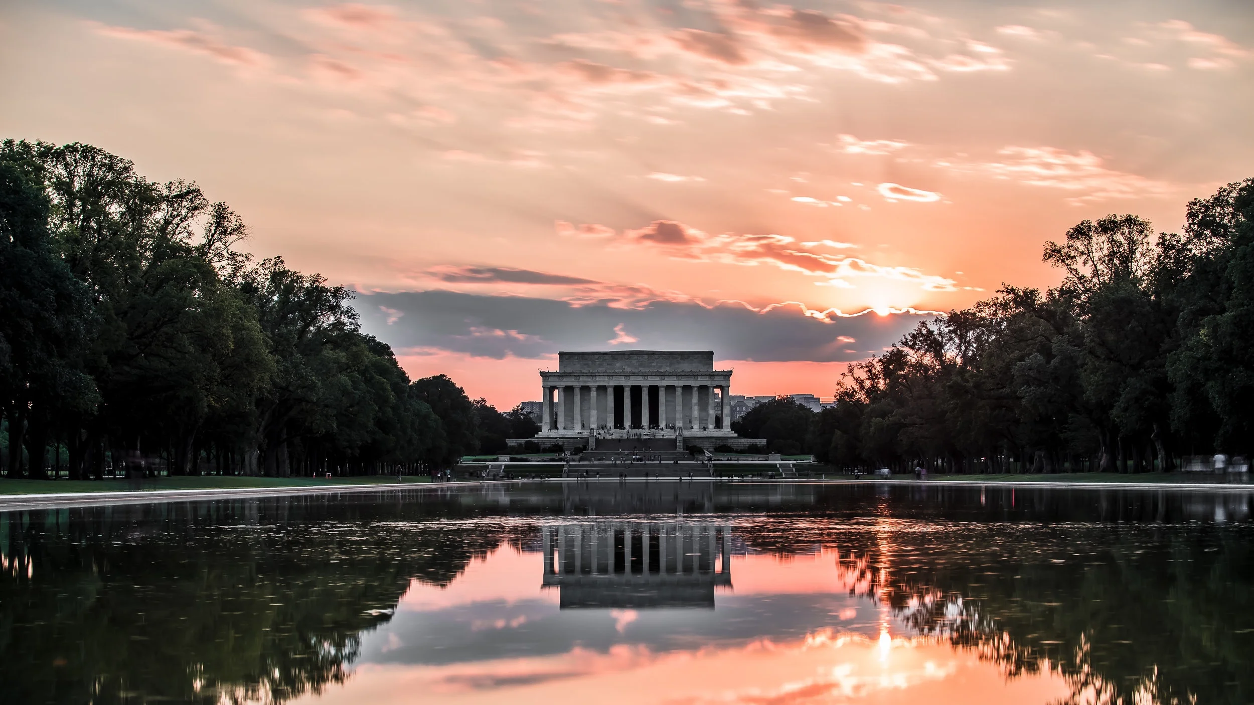 Mid July Update: Advocacy Connections