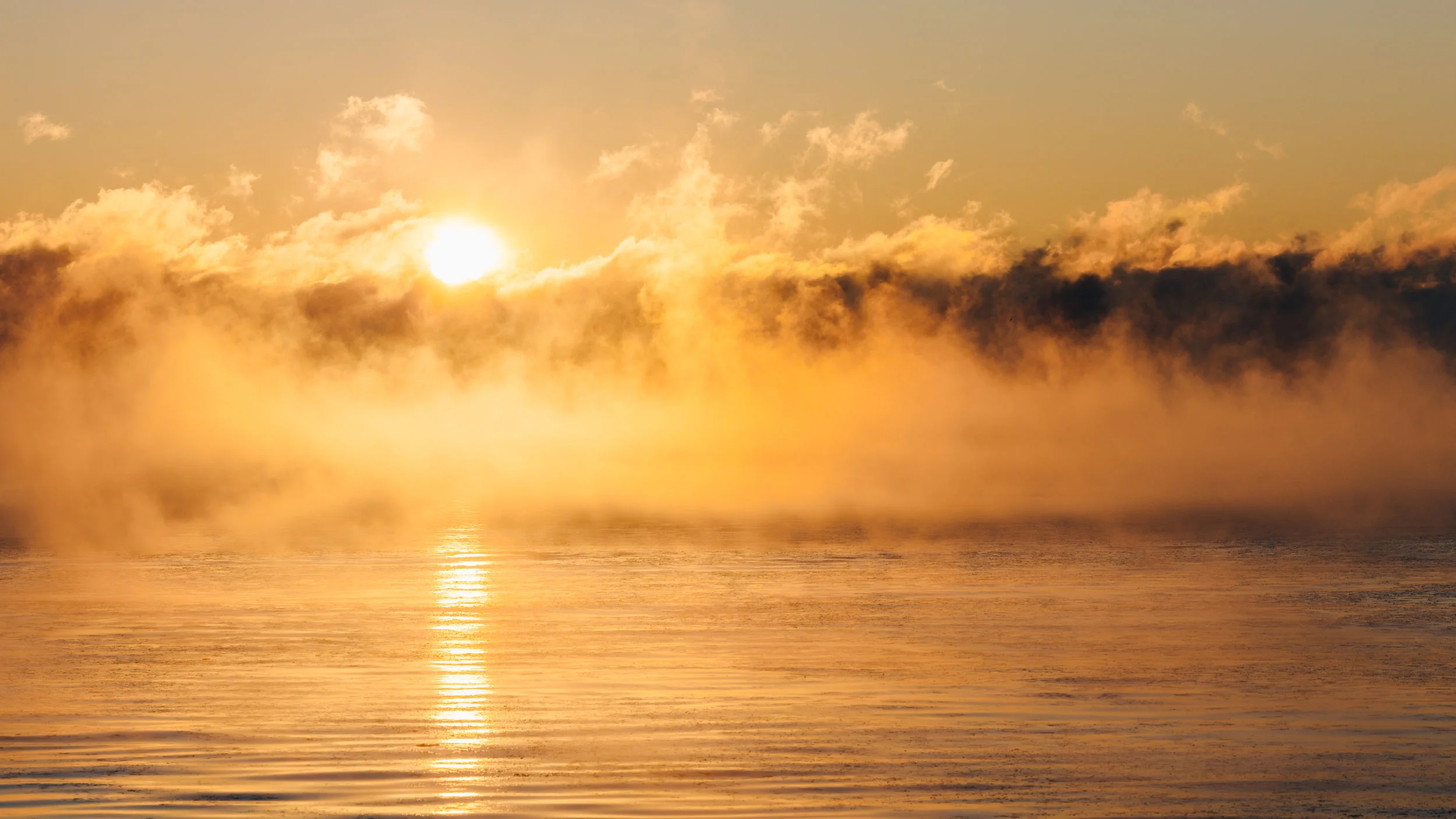 Churchwide Assembly Prayer: Make Us New