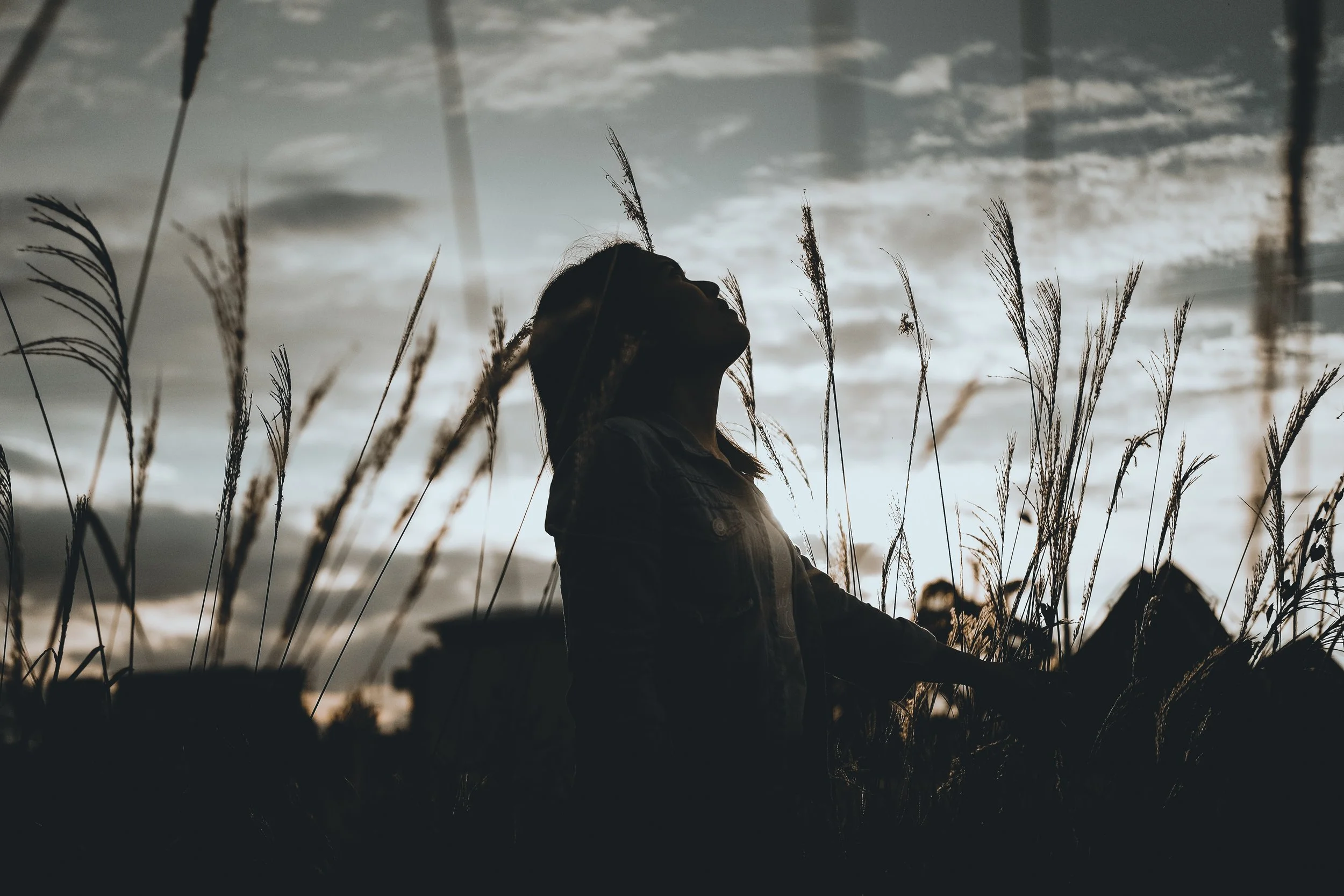 Photo by Rainier Ridao on Unsplash
