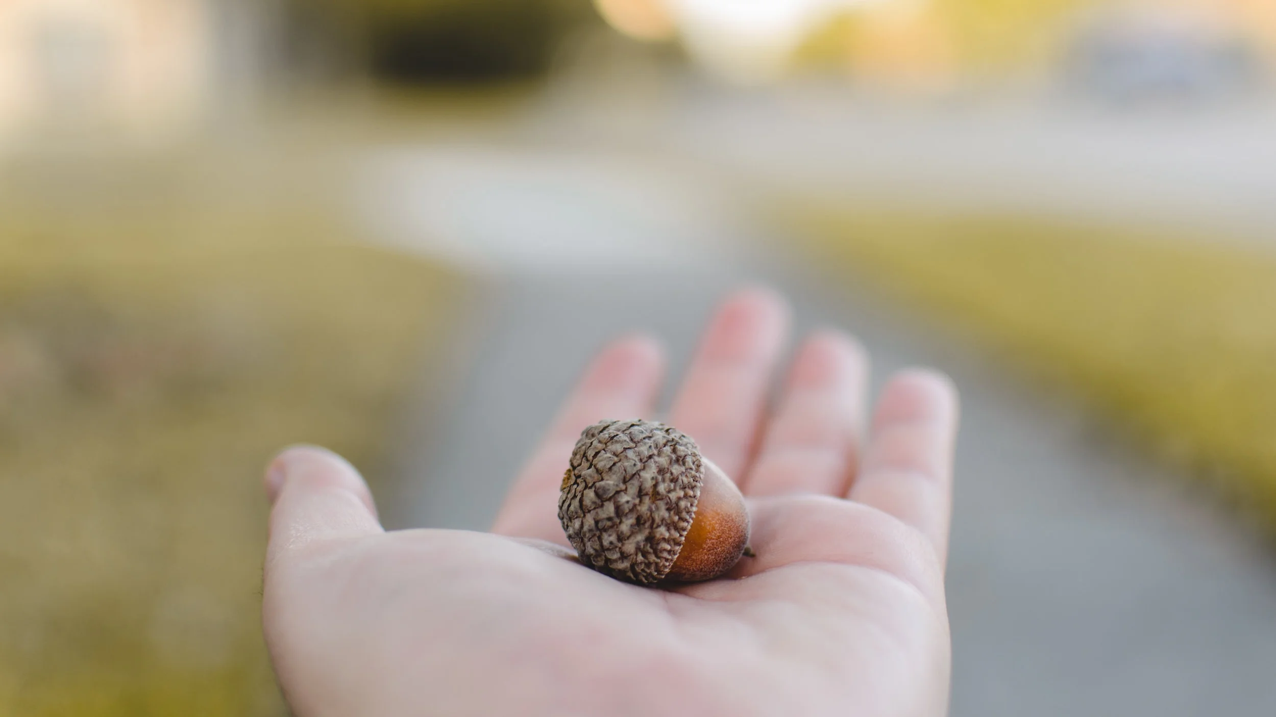 Register soon for Phoenix Area Generosity Project Lab