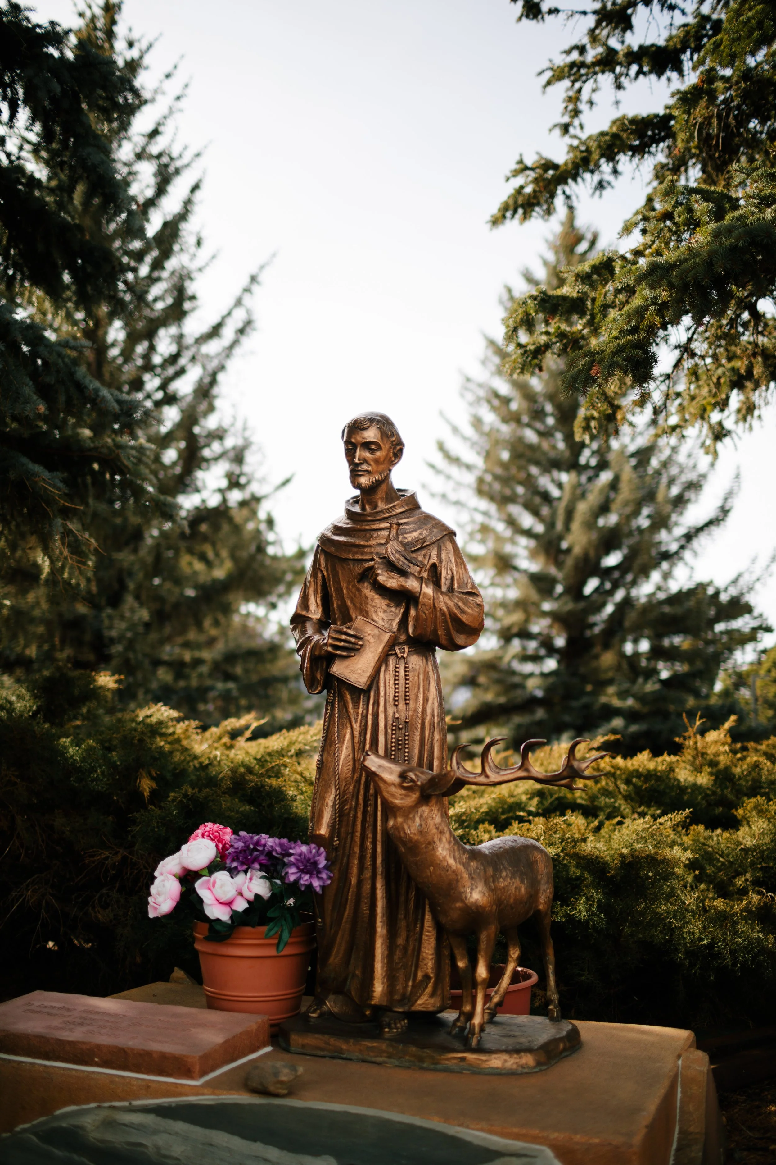 10/4 Prayer: St. Francis of Assisi