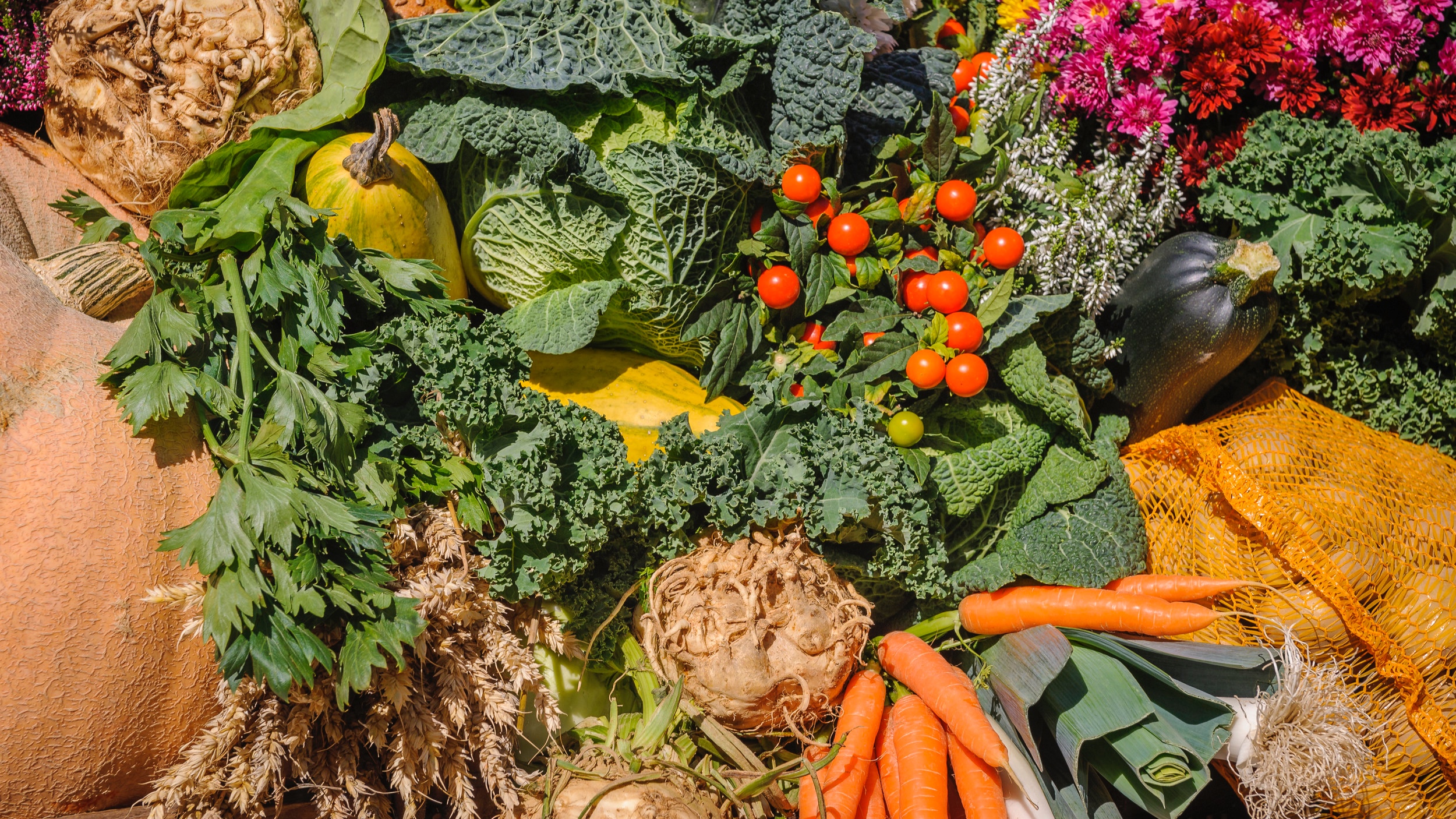 October Update: Advocacy Connections