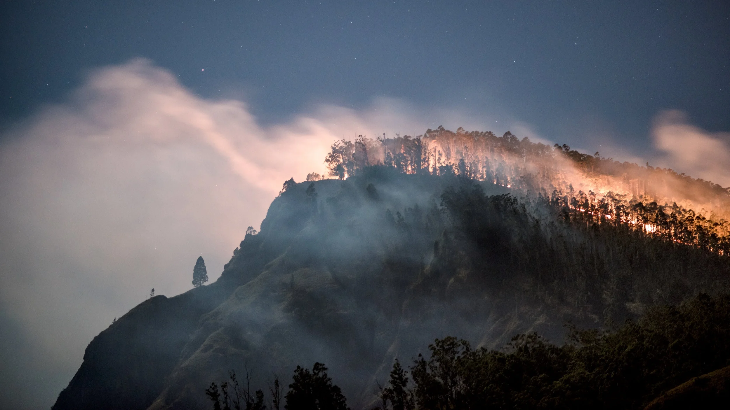 Prayers for California Lutheran University