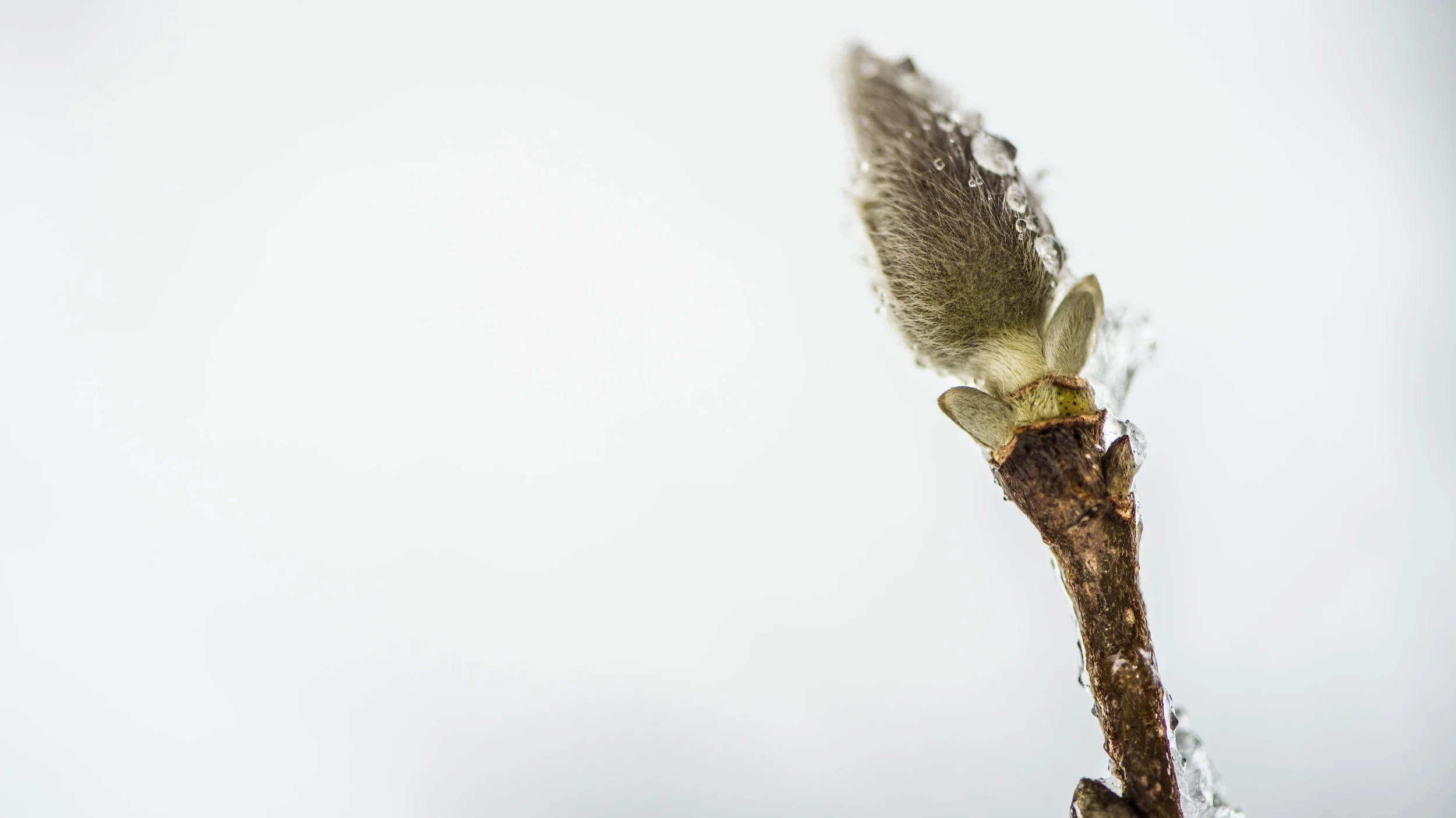 Bishop Eaton: Season of Doubt