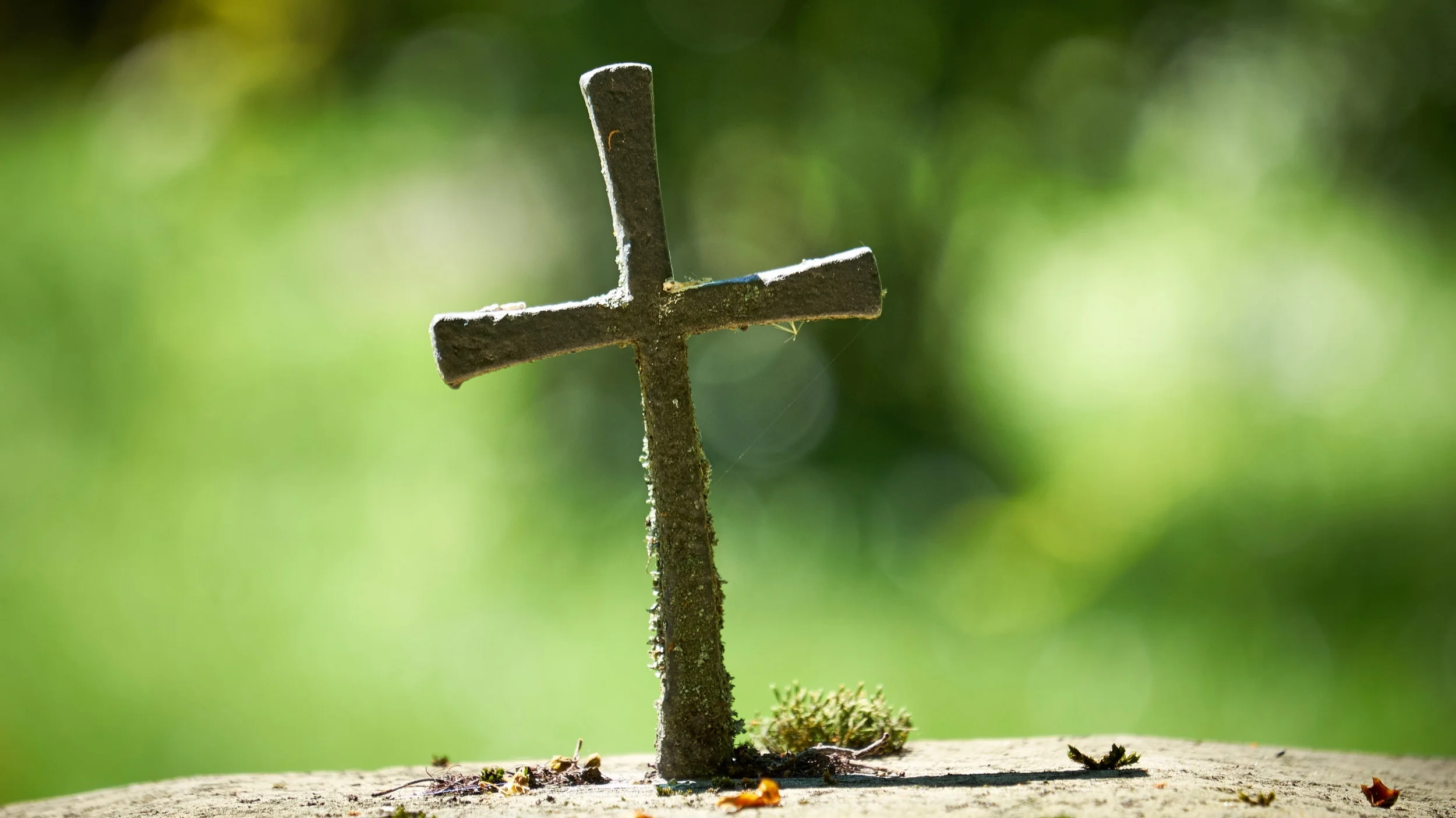 Desert Cross Lutheran, Tempe, launches faith formation site