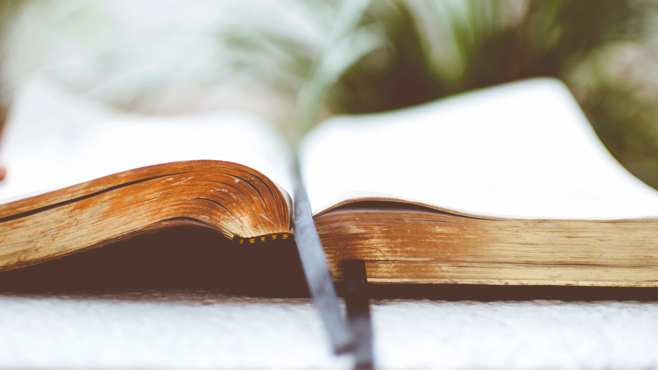 Prayers for the Kirkpatrick and Reed family