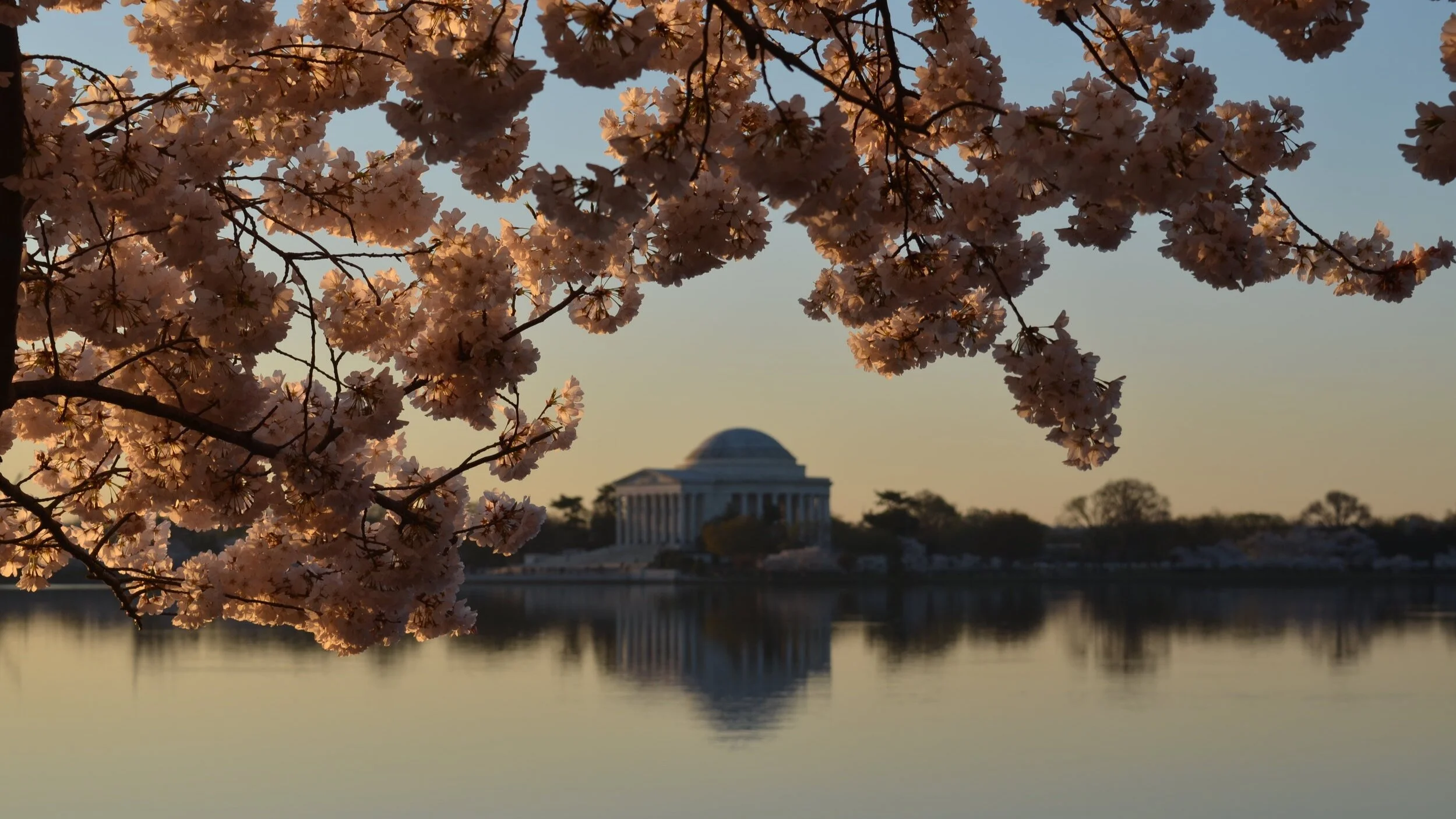 Ready and Real: ELCA Young Leaders in Advocacy