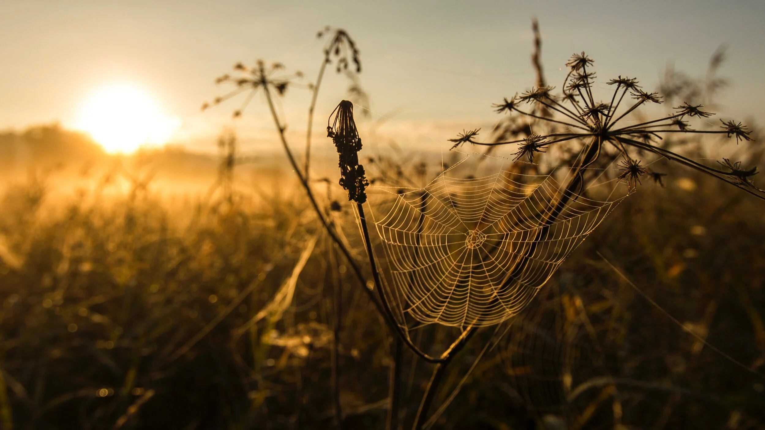 ELCA Youth Gathering: Made Free