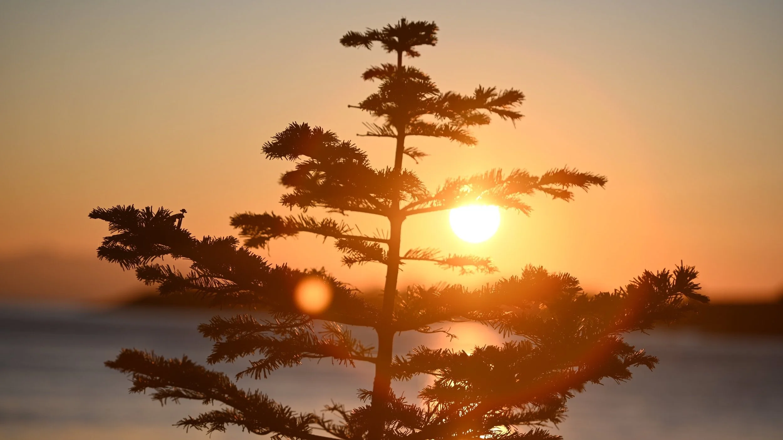 Prayers for the family of Pastor Jeff and Karin Kallevig