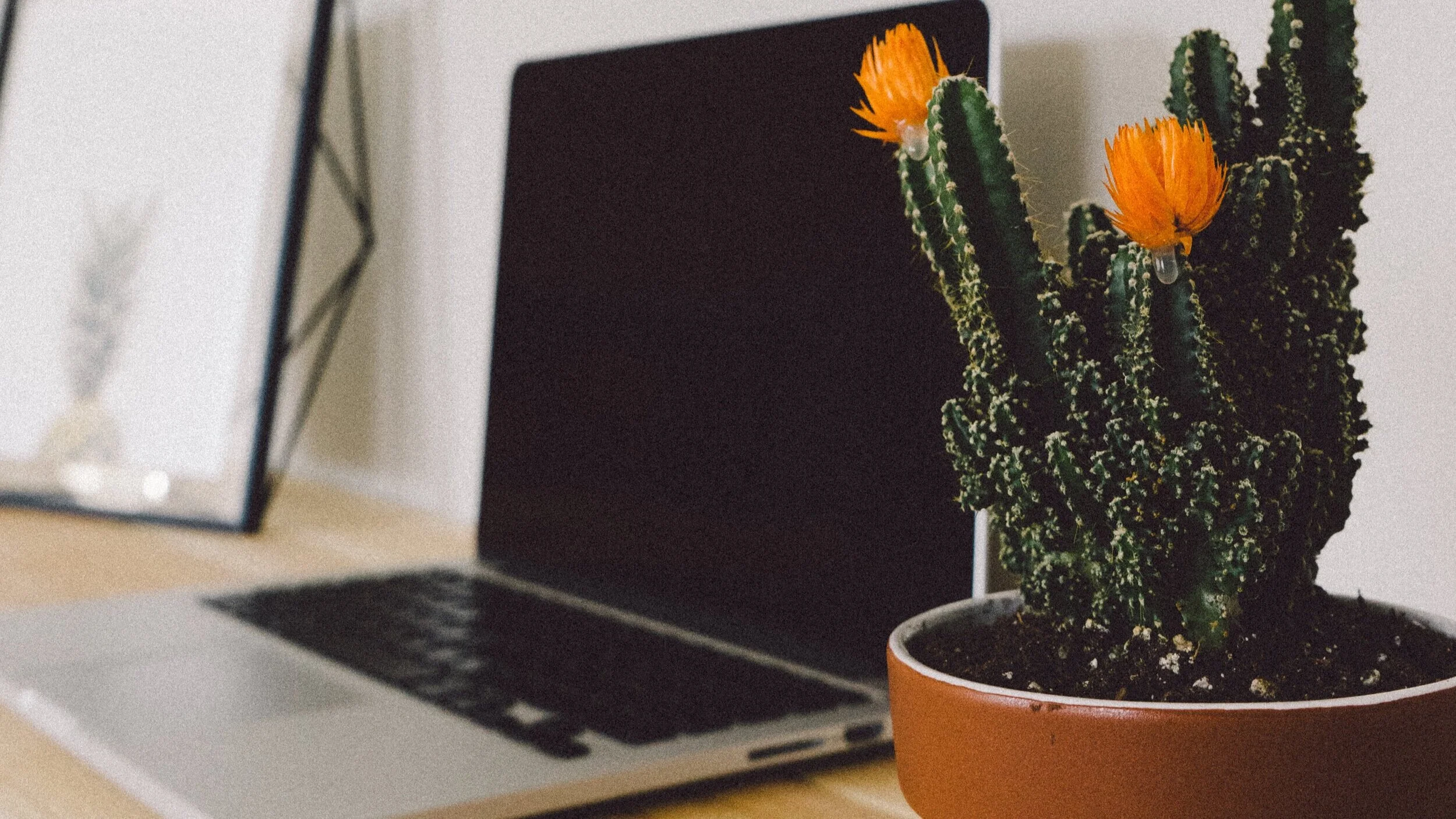 Be heard with your rostered leader report